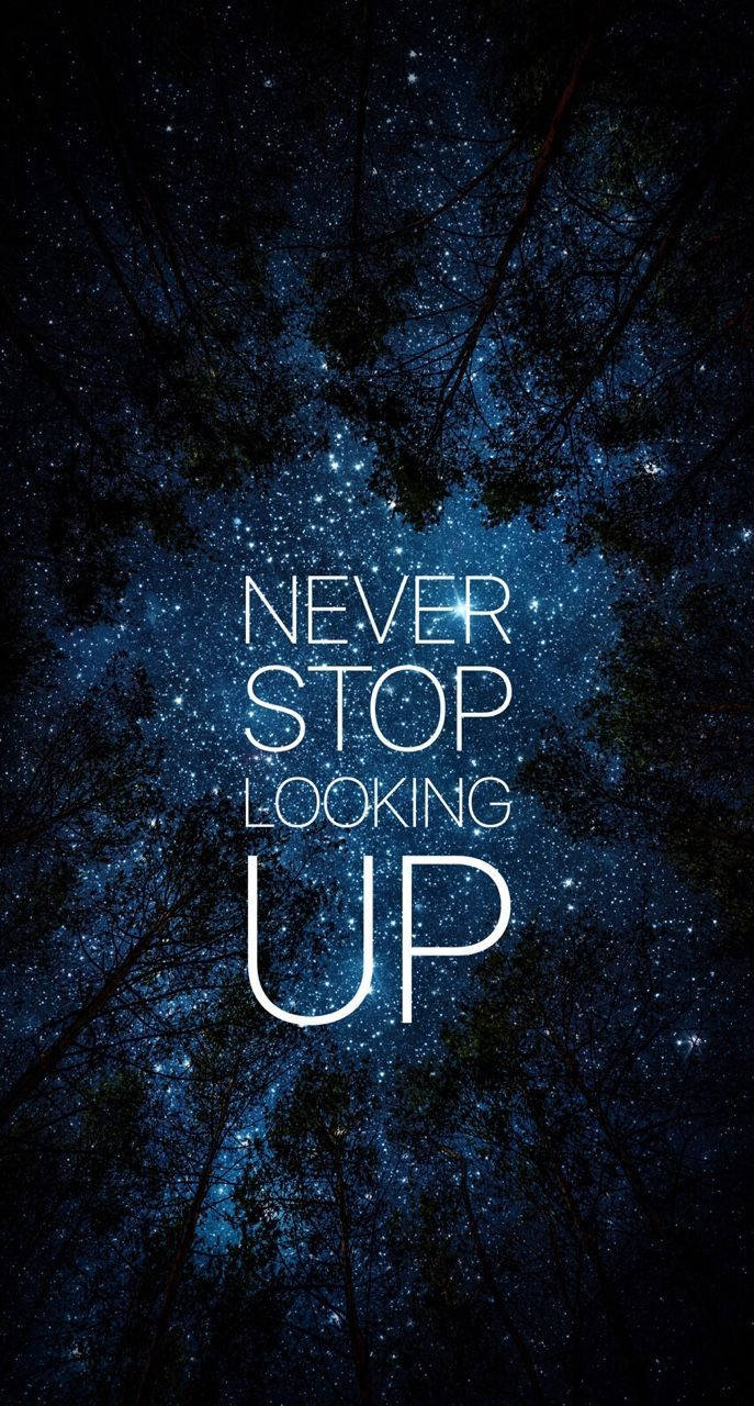 Star-filled night sky, dark tree branches, glowing white motivational text, HD Phone Wallpaper