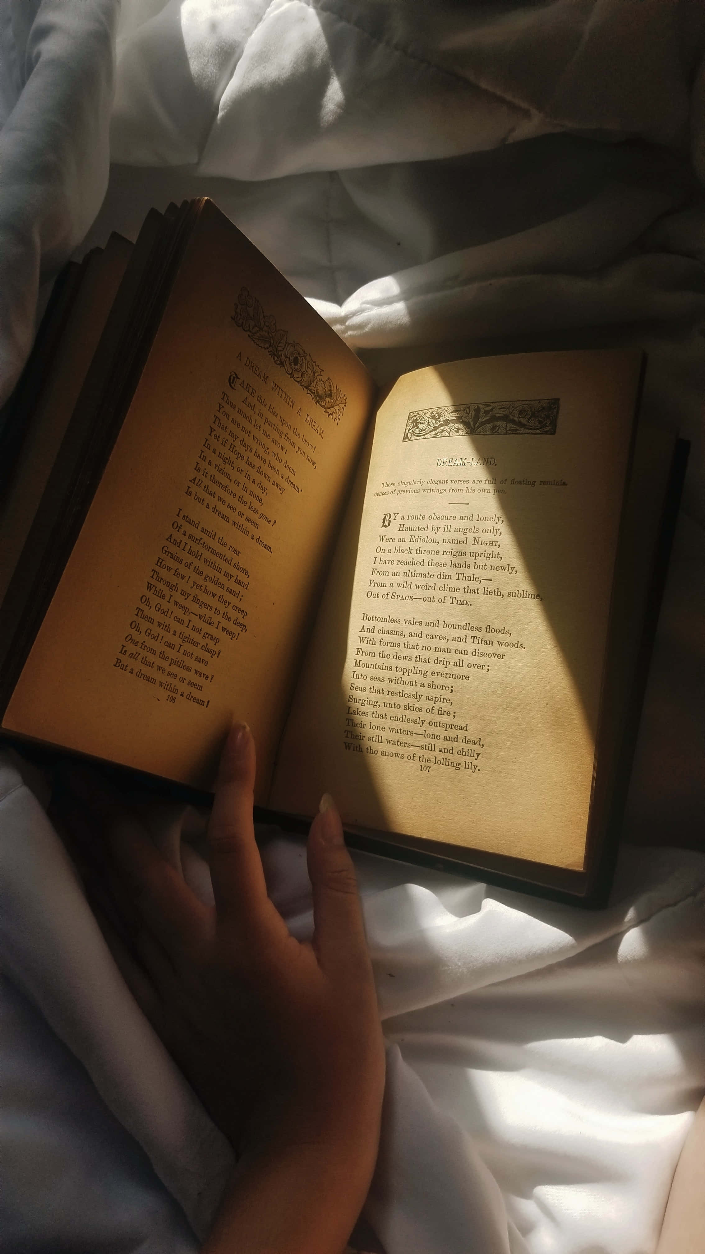 vintage book, sunlit bed, rumpled white sheets, 4K Phone Wallpaper