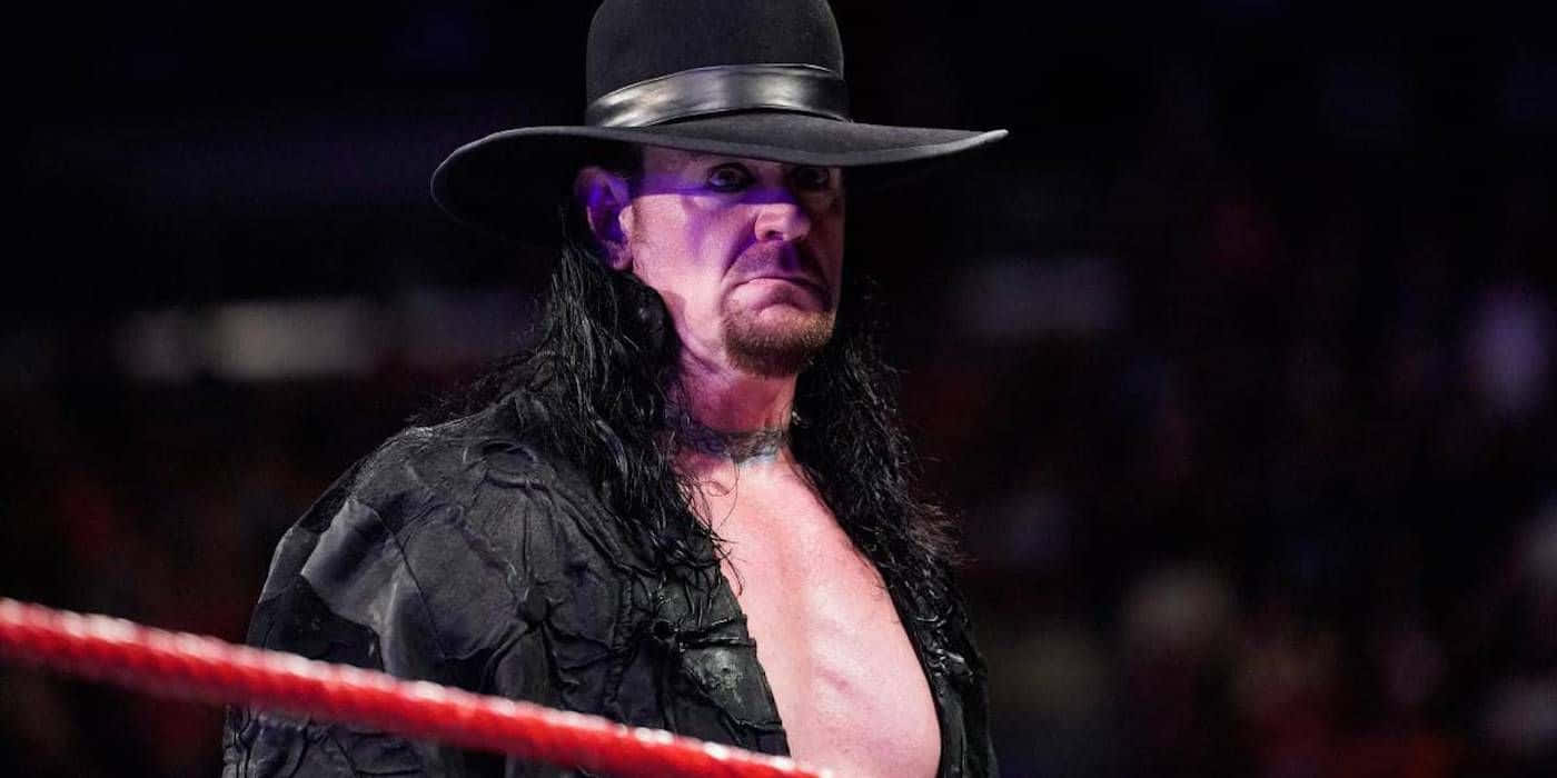 WWE Undertaker, black hat, torn black jacket, HD Desktop Wallpaper
