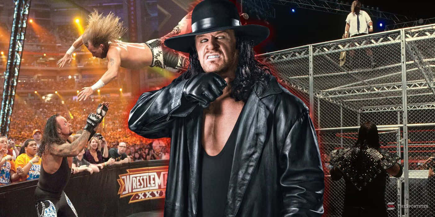 Undertaker, WWE ring, cage match, HD Desktop Wallpaper