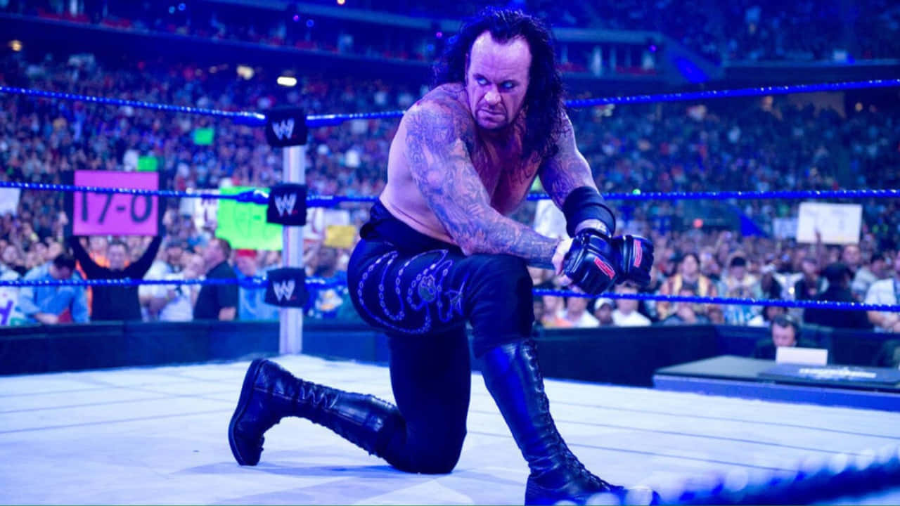 WWE Undertaker, The Undertaker, ring, HD Desktop Wallpaper