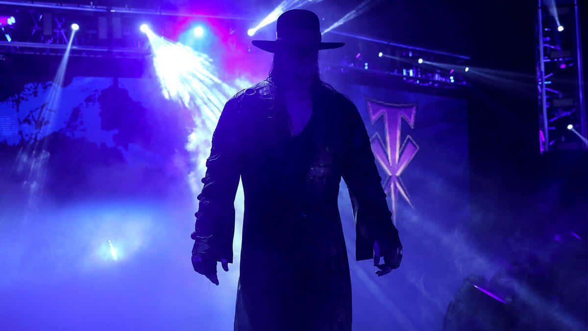 Undertaker, WWE, purple-lit stage smoke, SD Desktop Wallpaper