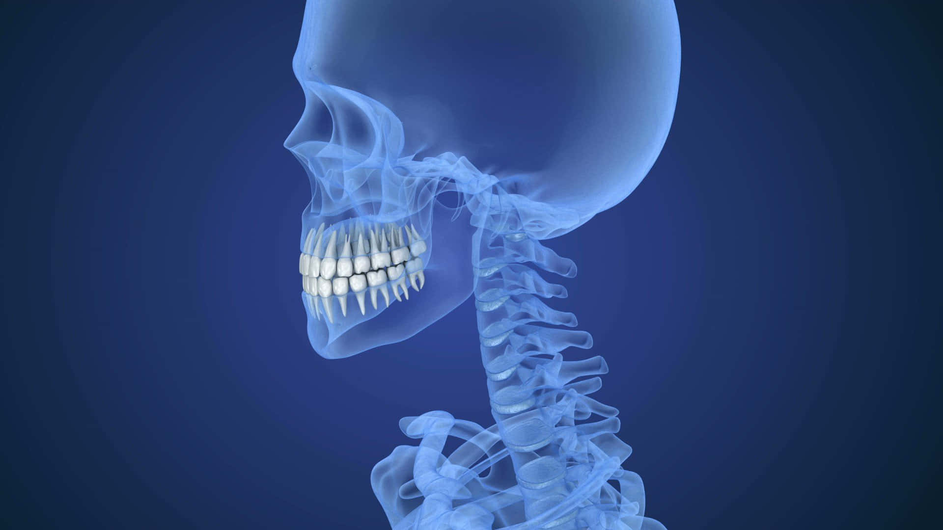X Ray, translucent blue, 3d-rendered, Full HD Desktop Wallpaper