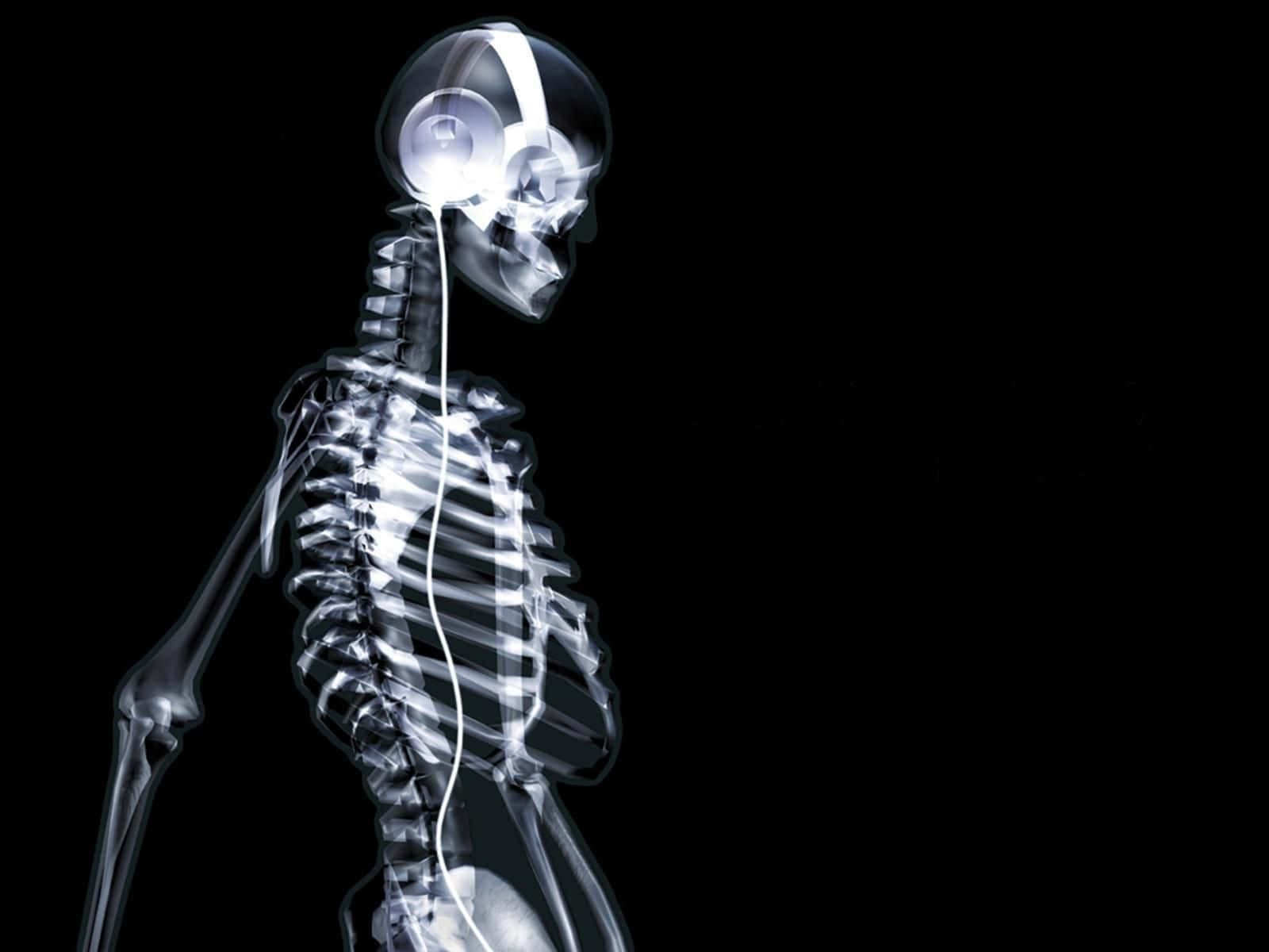X Ray, skeleton, headphones, HD Desktop Wallpaper