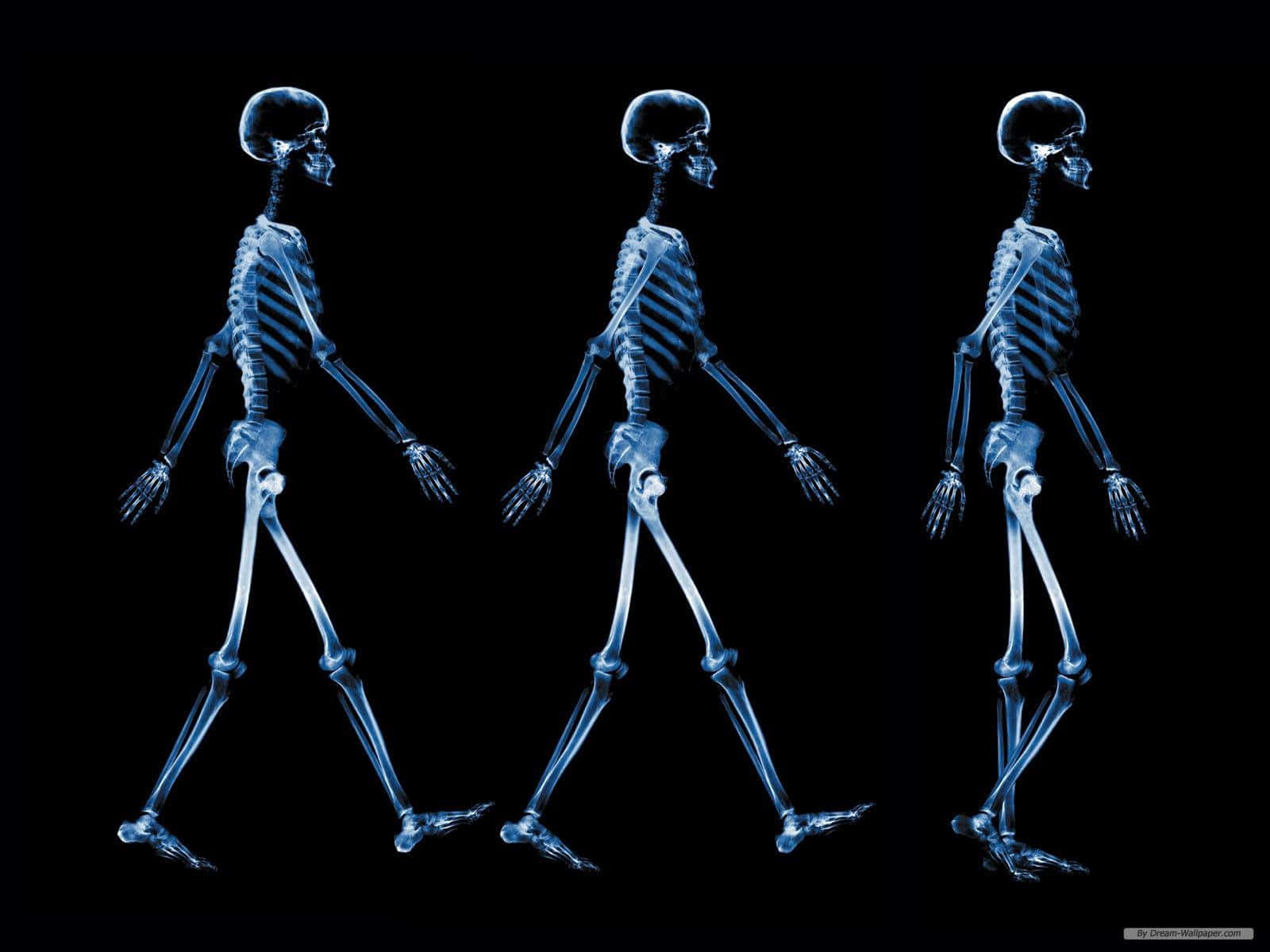 X Ray, glowing blue skeletal figures, stark black void, HD Desktop Wallpaper