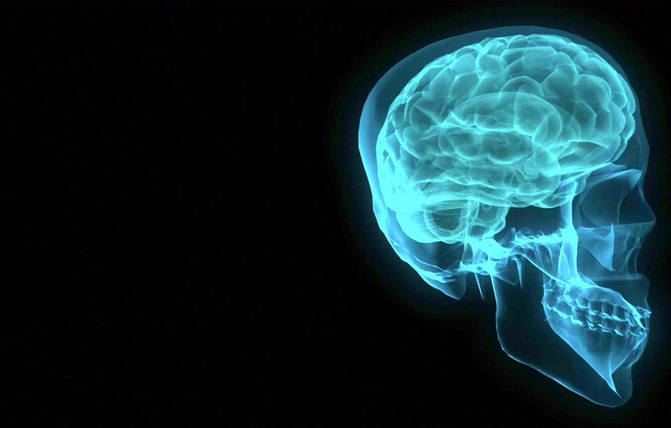 X Ray, glowing cyan, human skull, HD Desktop Wallpaper