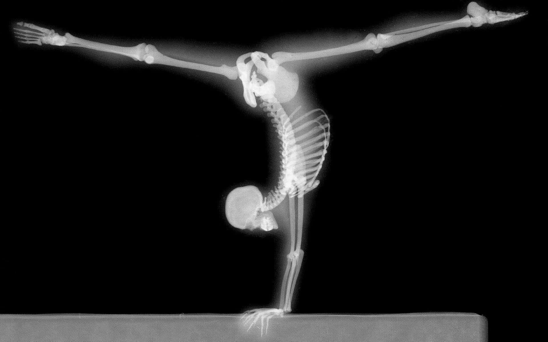 X Ray, skeleton, yoga pose, Full HD Desktop Wallpaper