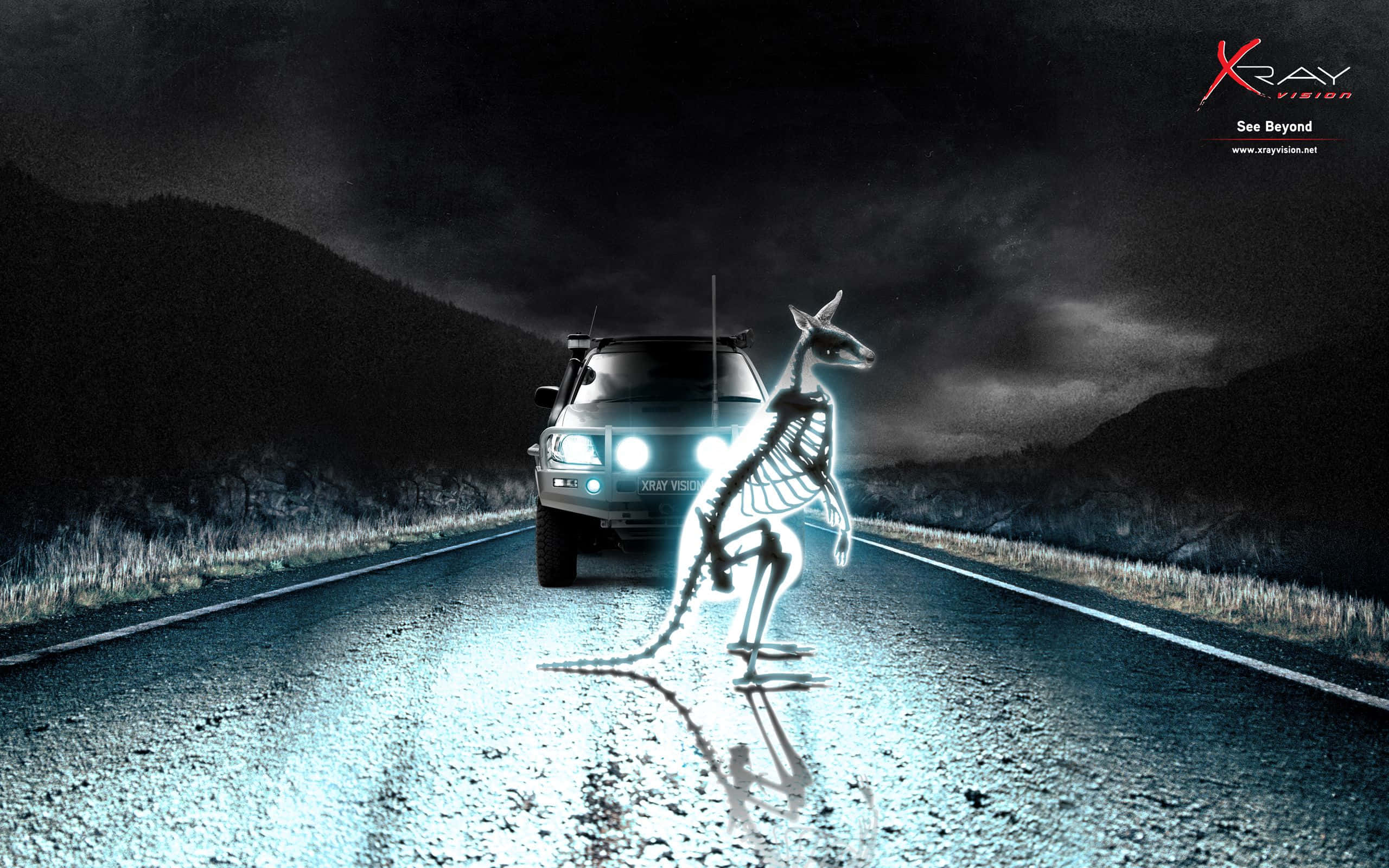 X Ray, kangaroo, car, 2K Desktop Wallpaper