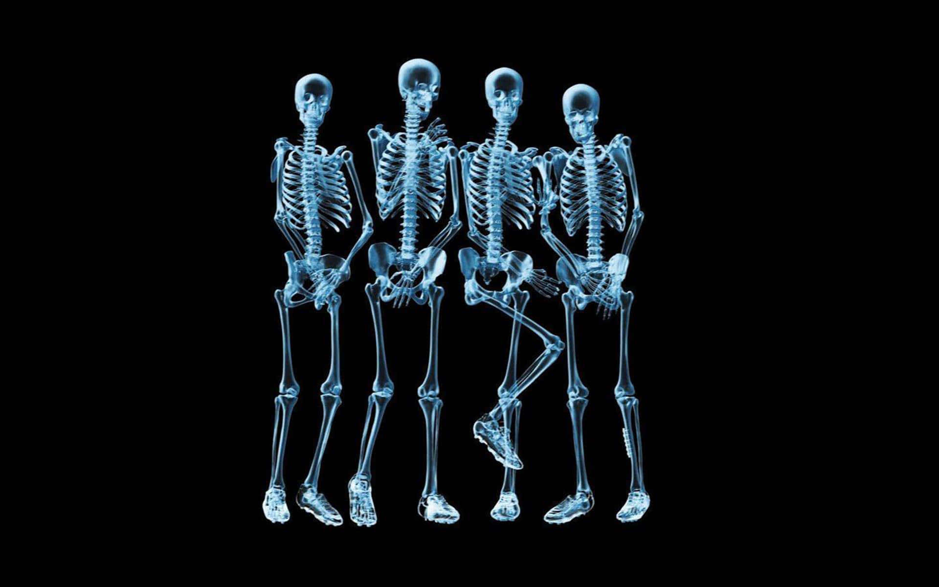 X Ray, glowing blue skeletons, black background, Full HD Desktop Wallpaper