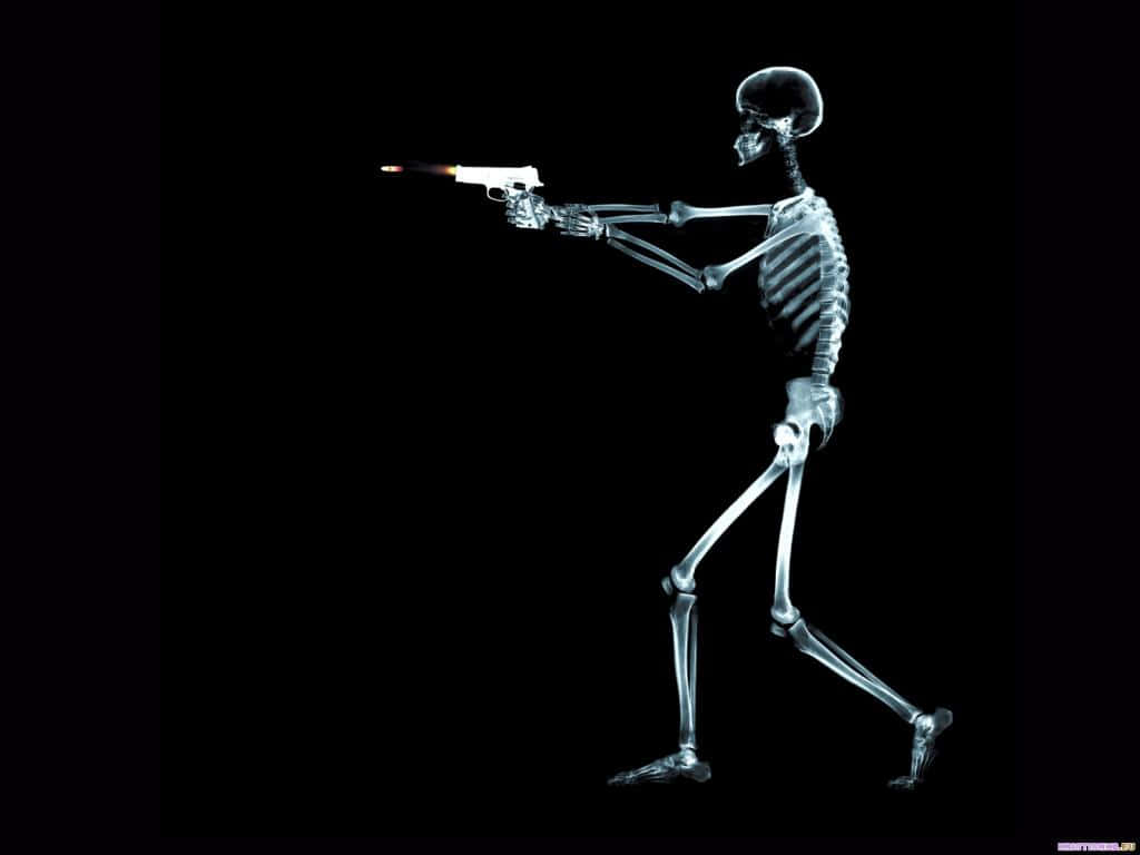 x ray, skeleton, gun, SD Desktop Wallpaper