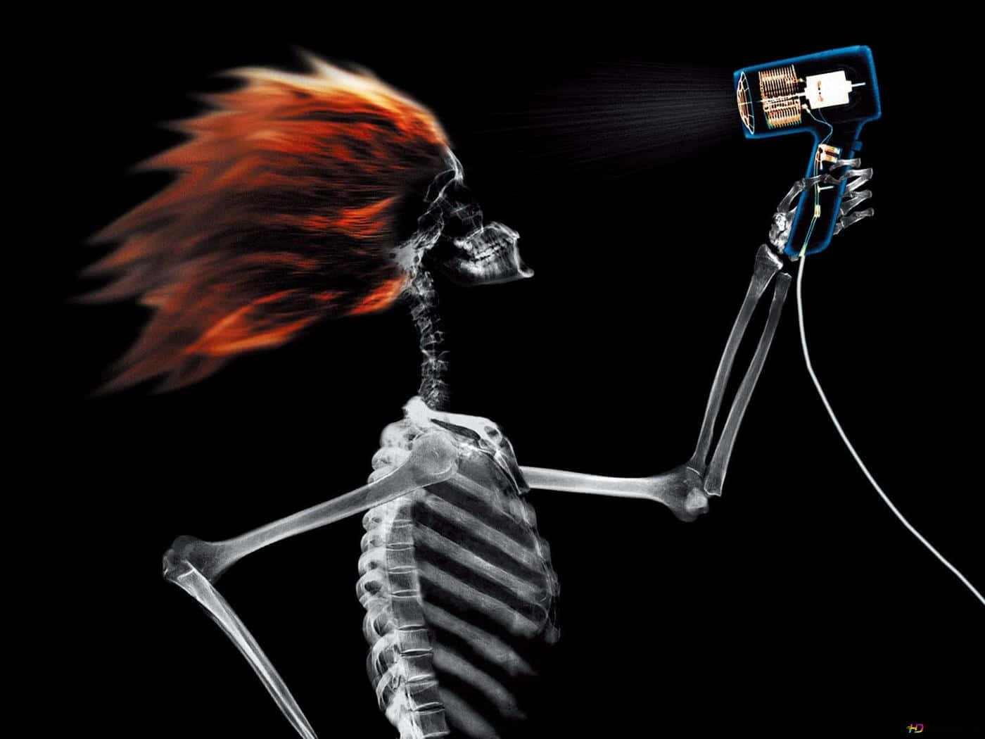 X Ray, skeleton, cell phone, HD Desktop Wallpaper