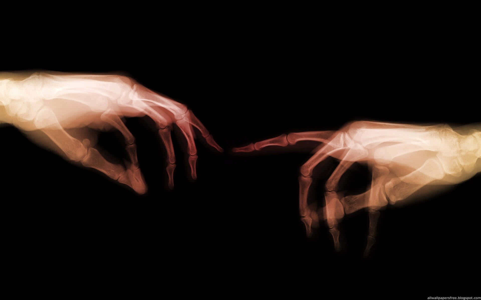 x ray, skeleton hands, blackness, Full HD Desktop Wallpaper