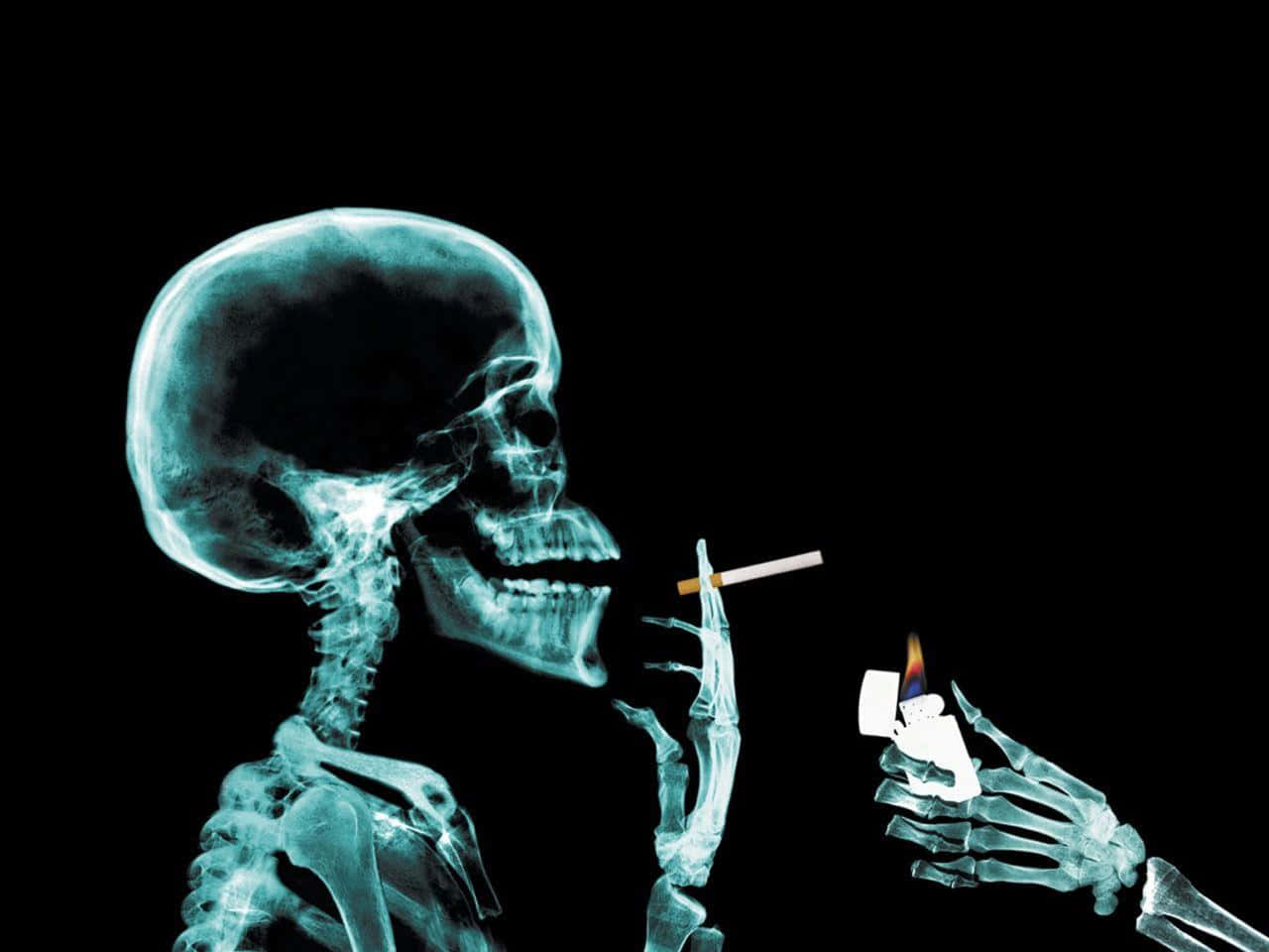 X Ray, human skull, skeleton, HD Desktop Wallpaper