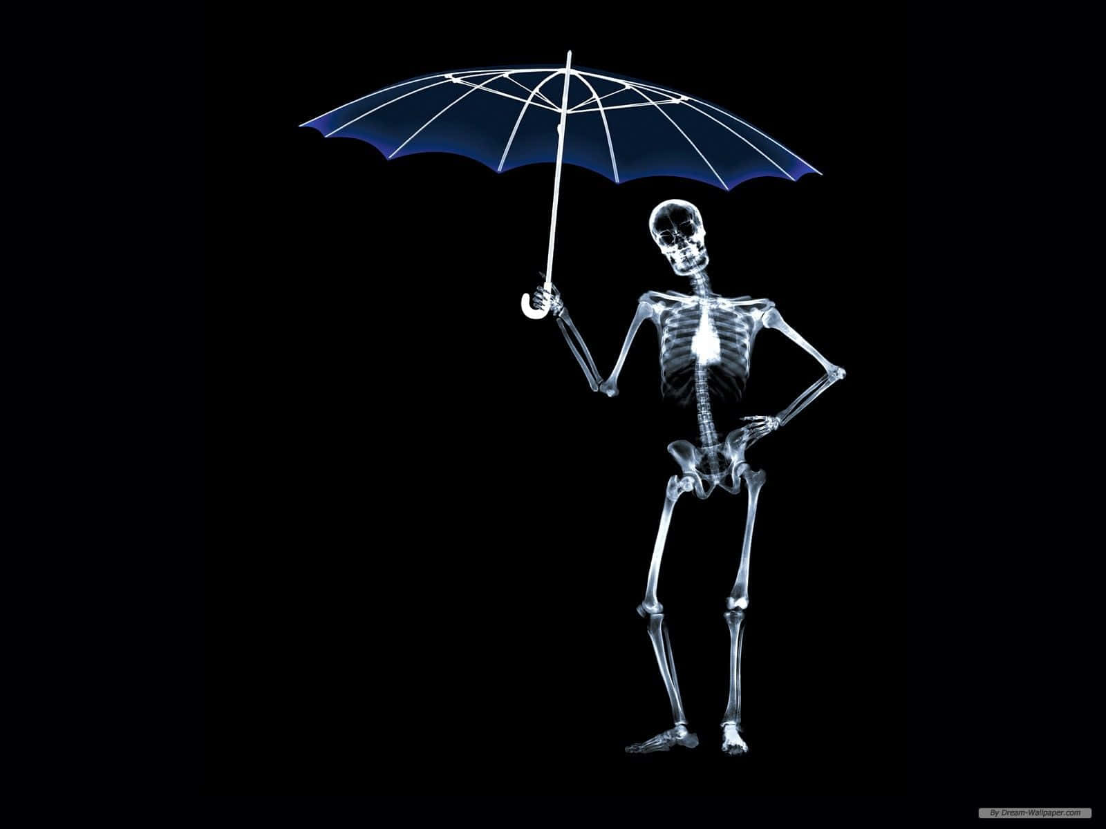 X Ray, glowing x-ray skeleton, blue umbrella, HD Desktop Wallpaper