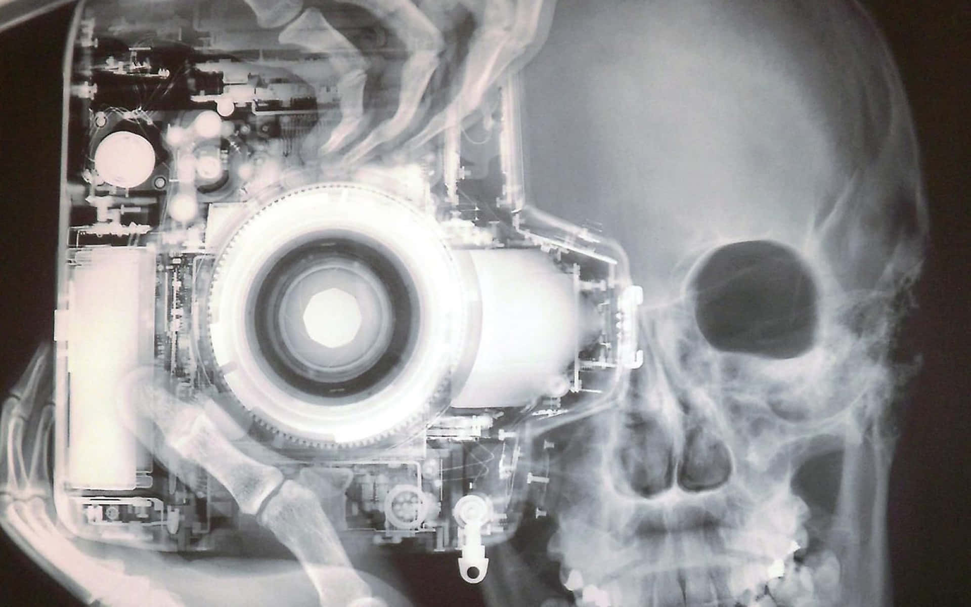 X Ray, skull, camera, Full HD Desktop Wallpaper
