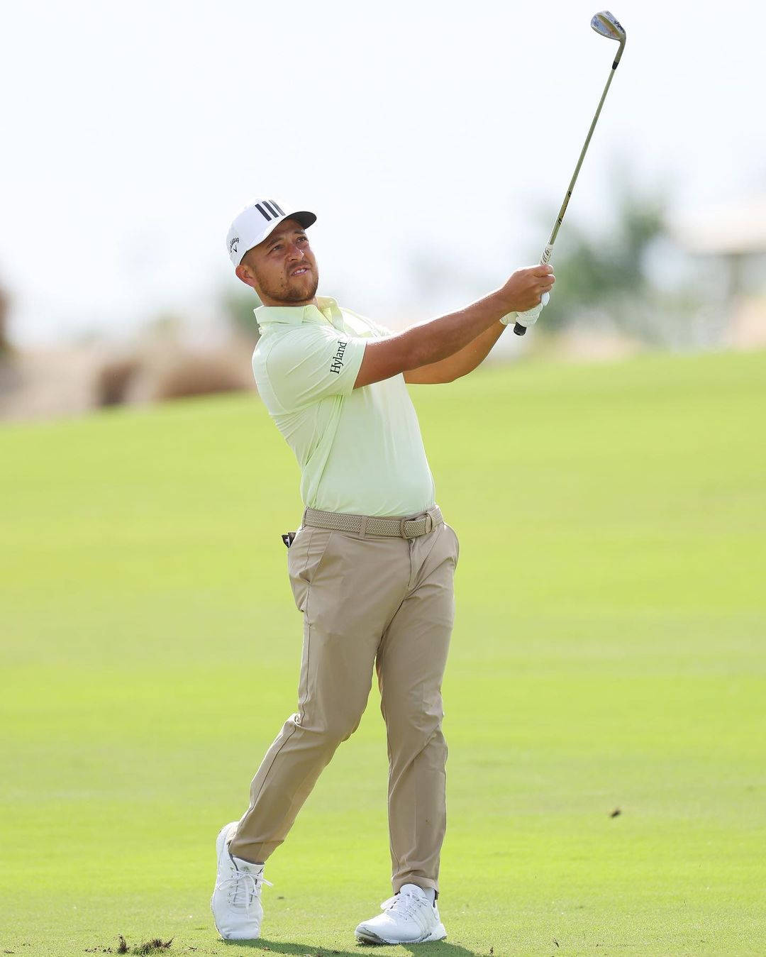 Xander Schauffele, light green shirt, beige pants, HD Phone Wallpaper