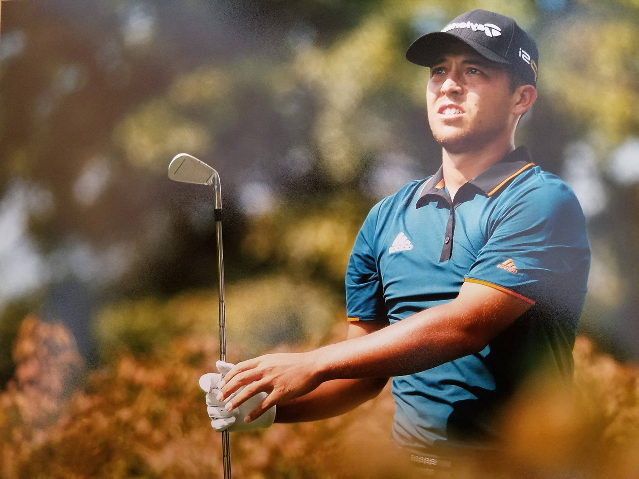 Xander Schauffele, blue polo, cap, Full HD Desktop Wallpaper