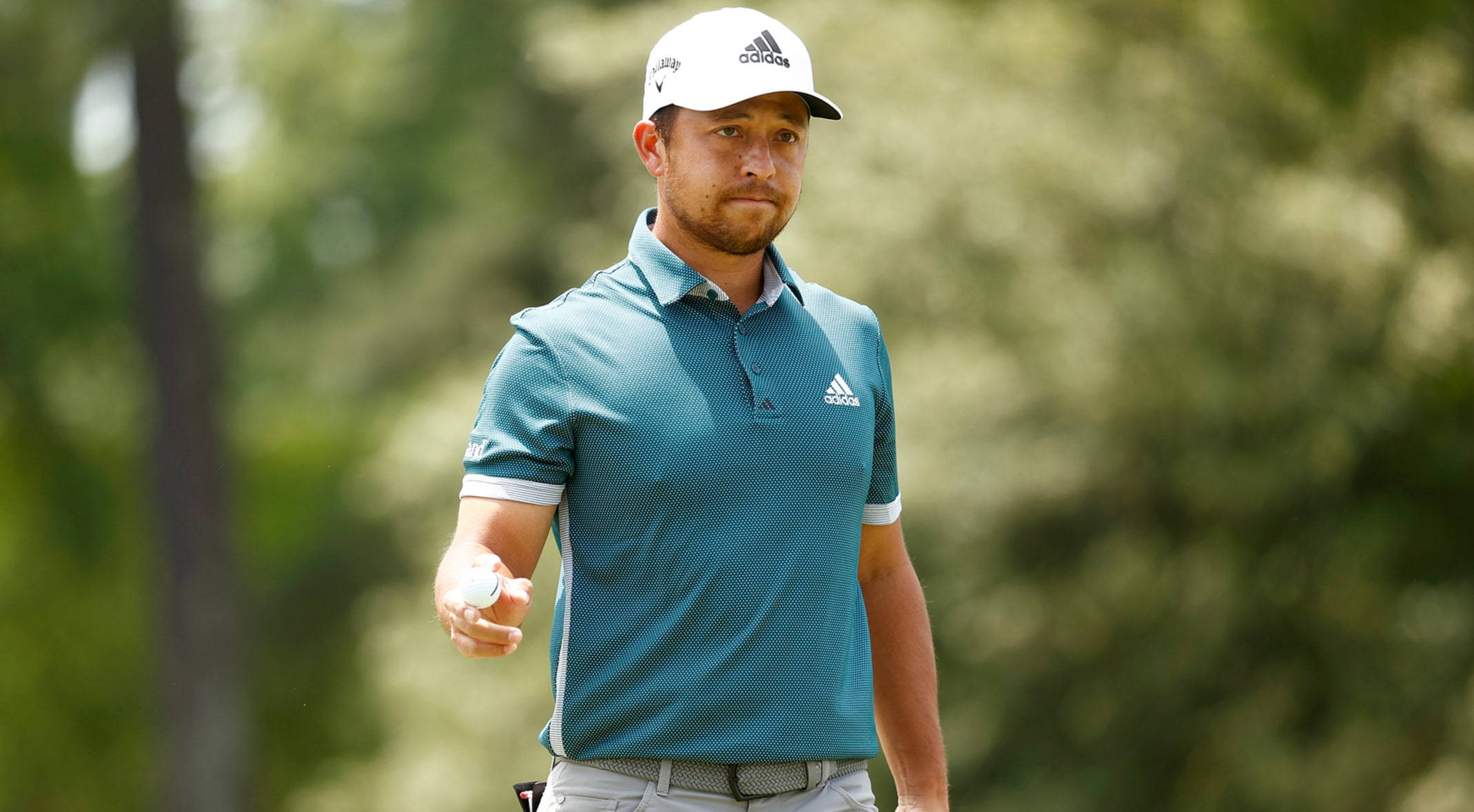 Xander Schauffele, teal polo, white cap, Full HD Desktop Wallpaper