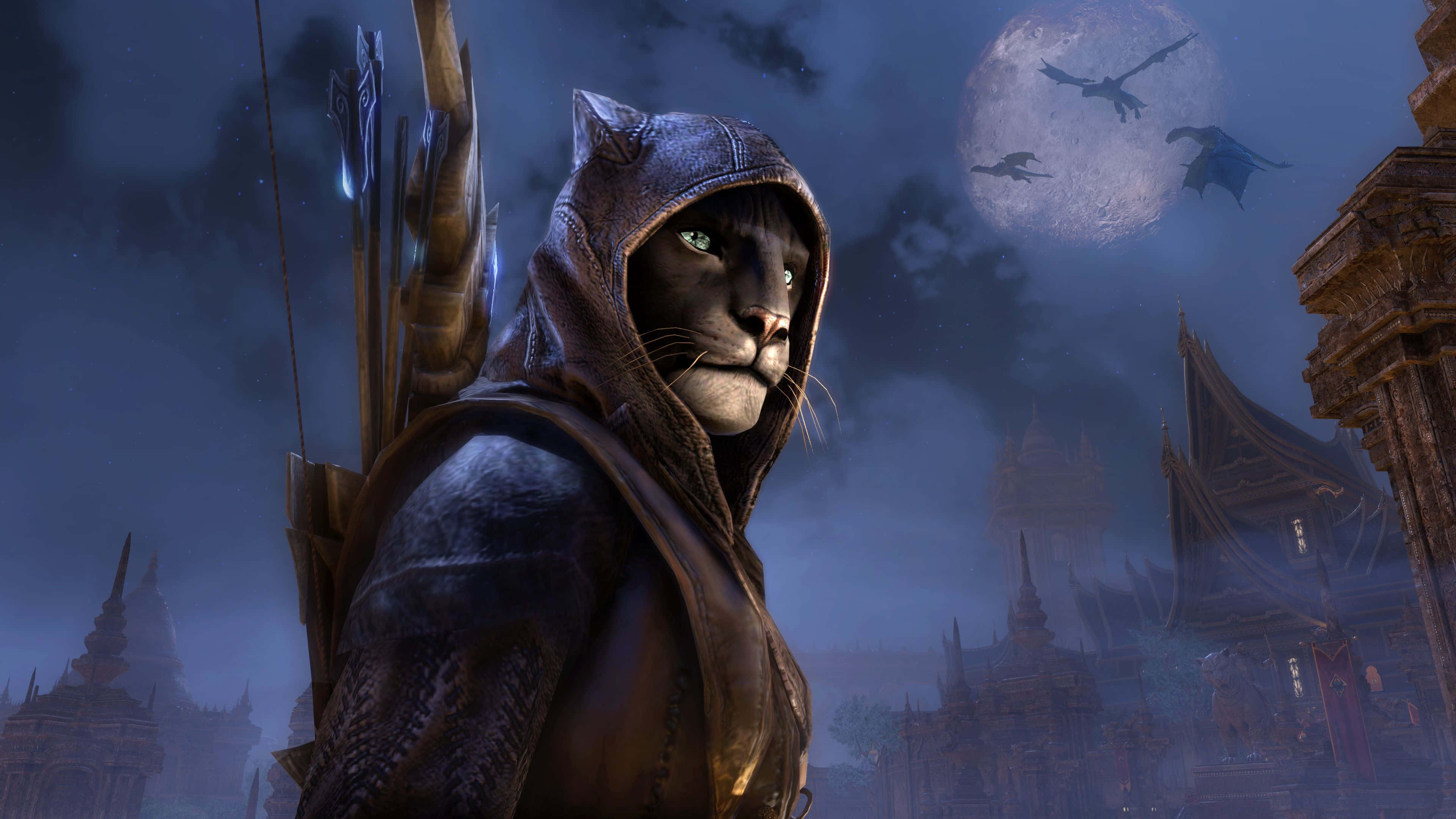 Xbox Games, hooded feline warrior, glowing green eyes, 4K Desktop Wallpaper