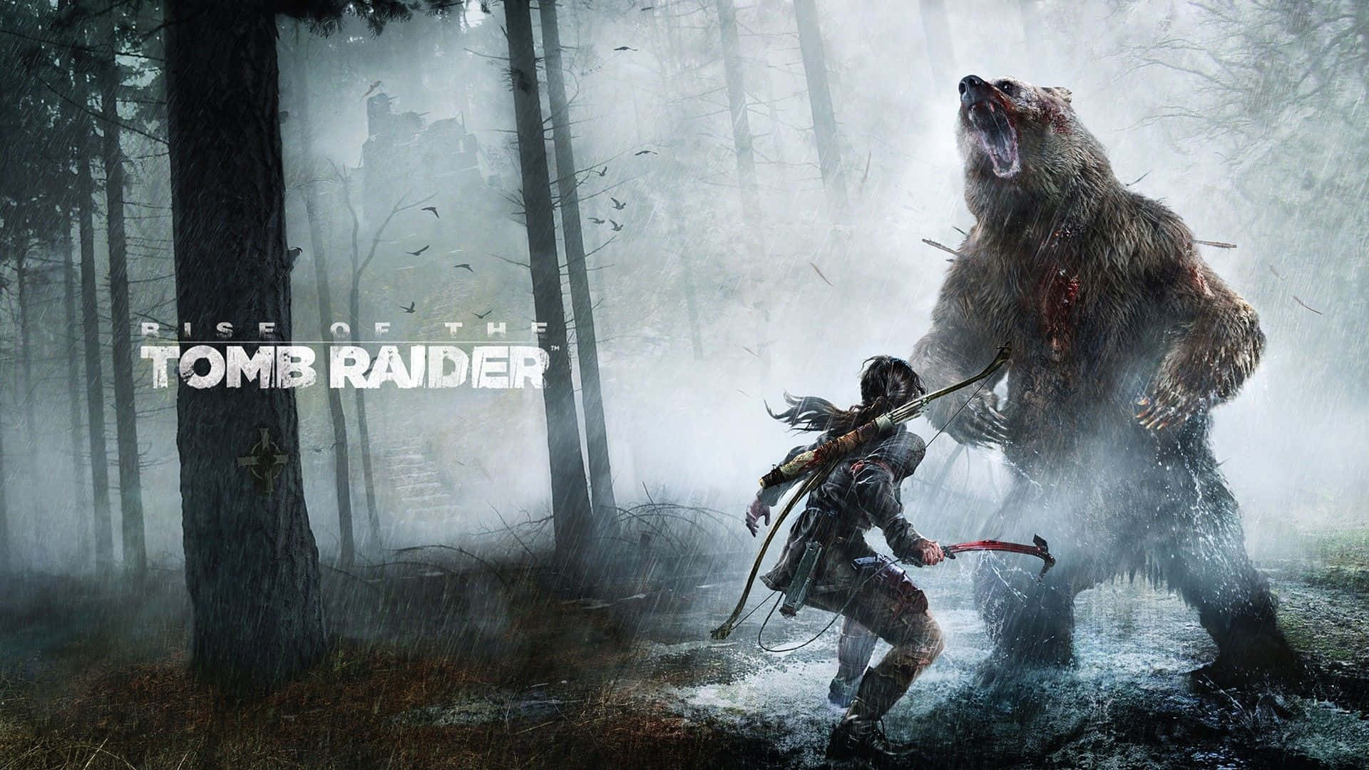 Xbox Games, adventurer, massive bear, Full HD Desktop Wallpaper