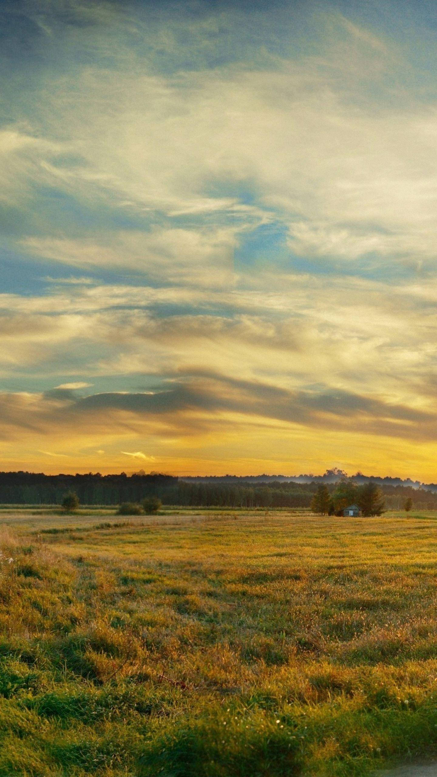 Xiaomi, Vast Grassland, Golden sunset, 2K Phone Wallpaper