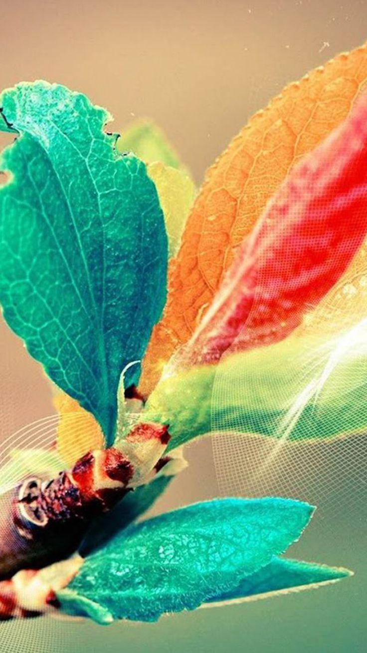 Xiaomi, colorful leaves, teal, HD Phone Wallpaper