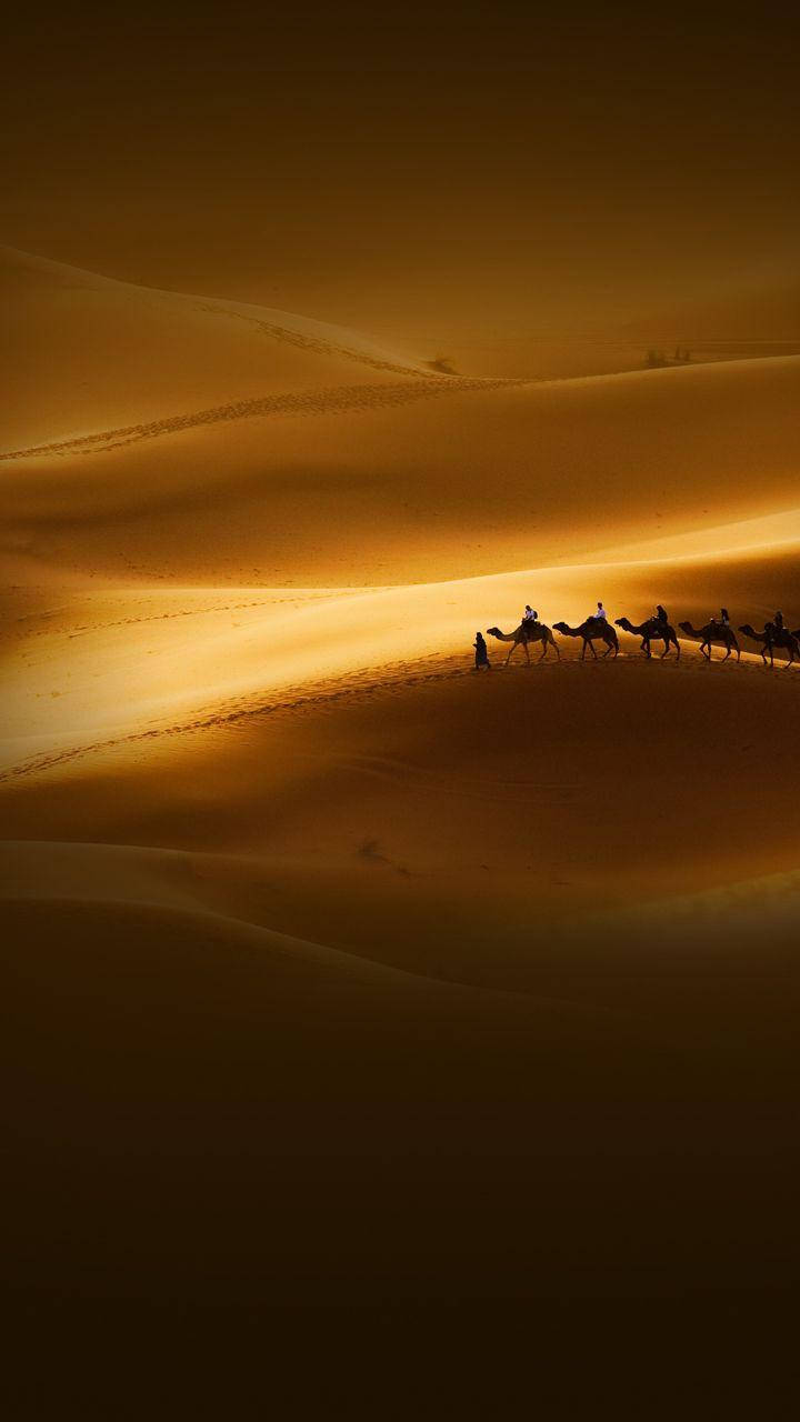 Xiaomi, camel caravan, golden dunes, HD Phone Wallpaper