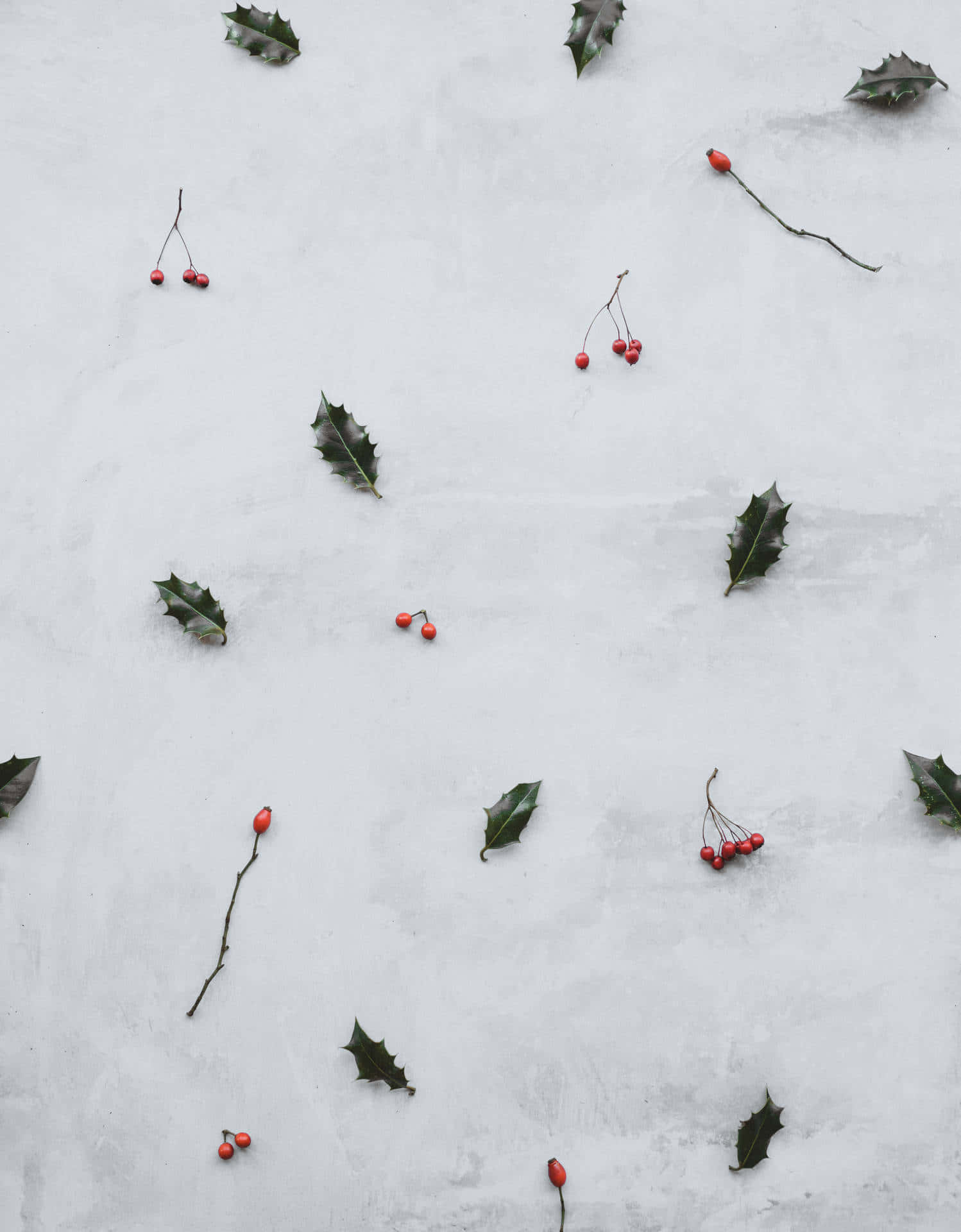winter berries, snow, holly leaves, Full HD Phone Wallpaper