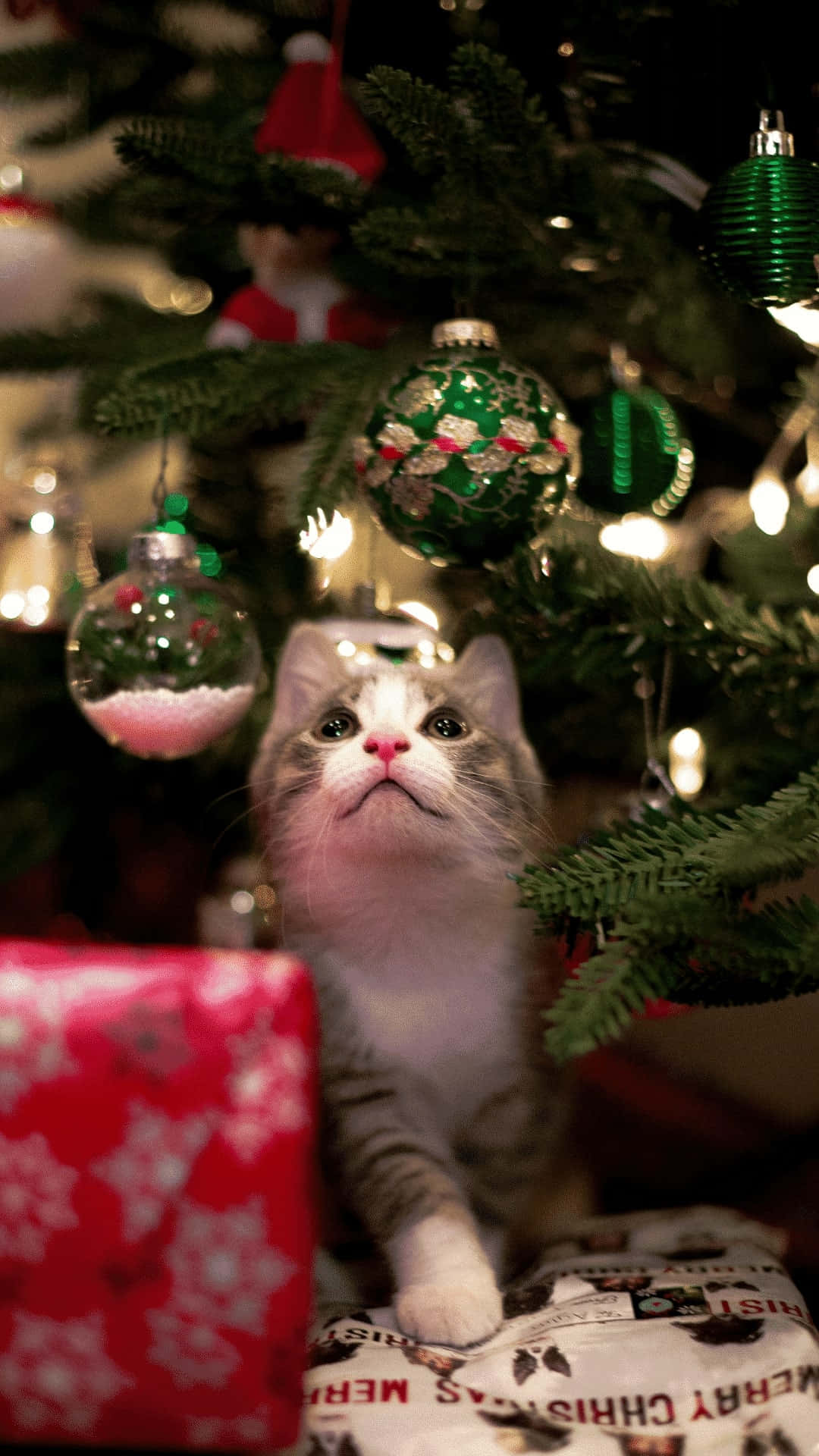 gray and white kitten, decorated Christmas tree, glowing lights, Full HD Phone Wallpaper