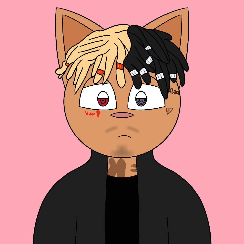 Xxxtentacion Cartoon, cat, split blonde and black hair, SD Desktop Wallpaper