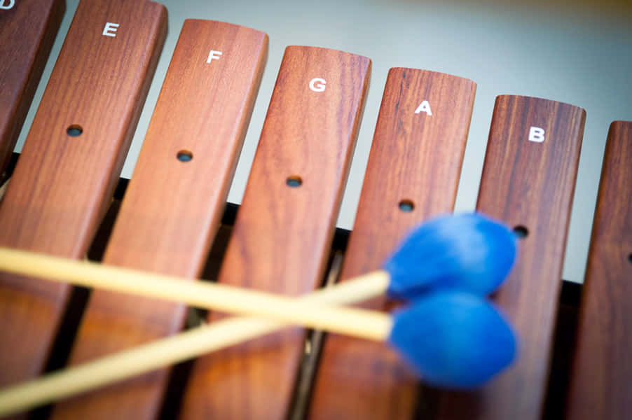xylophone, E through B, blue mallets, SD Desktop Wallpaper