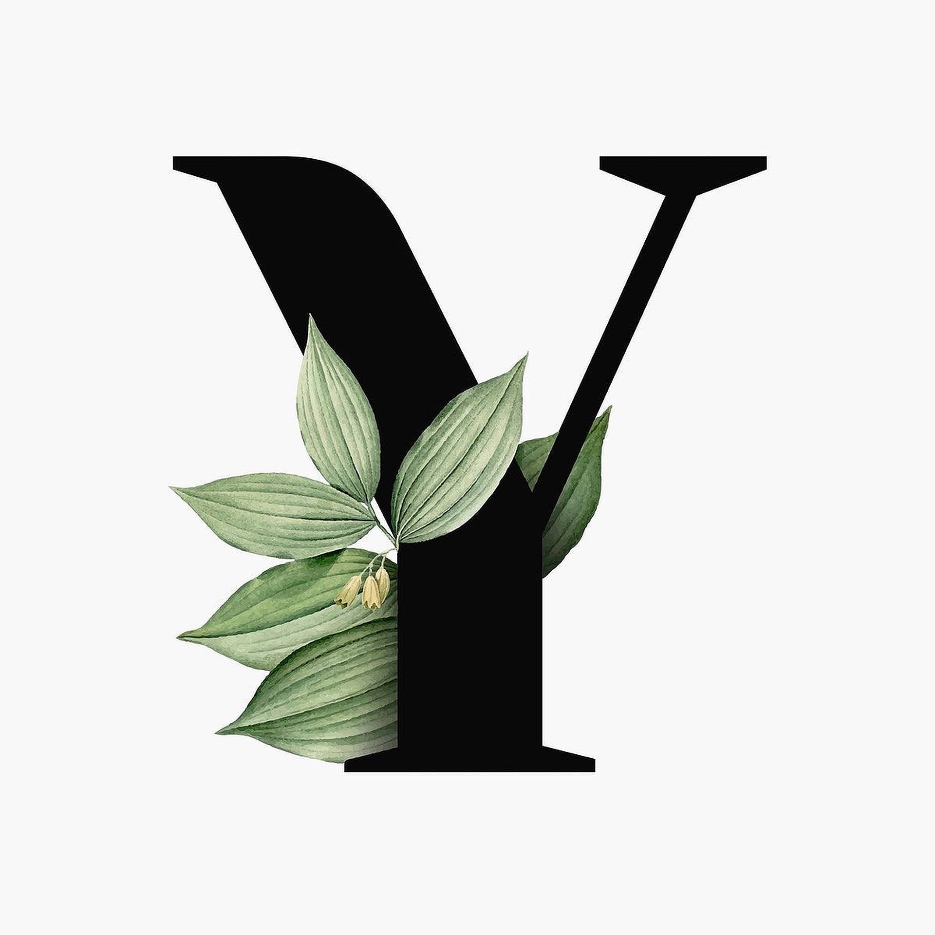 Leafy Letter Y, black letter Y, delicate green leaves, Full HD Desktop Wallpaper