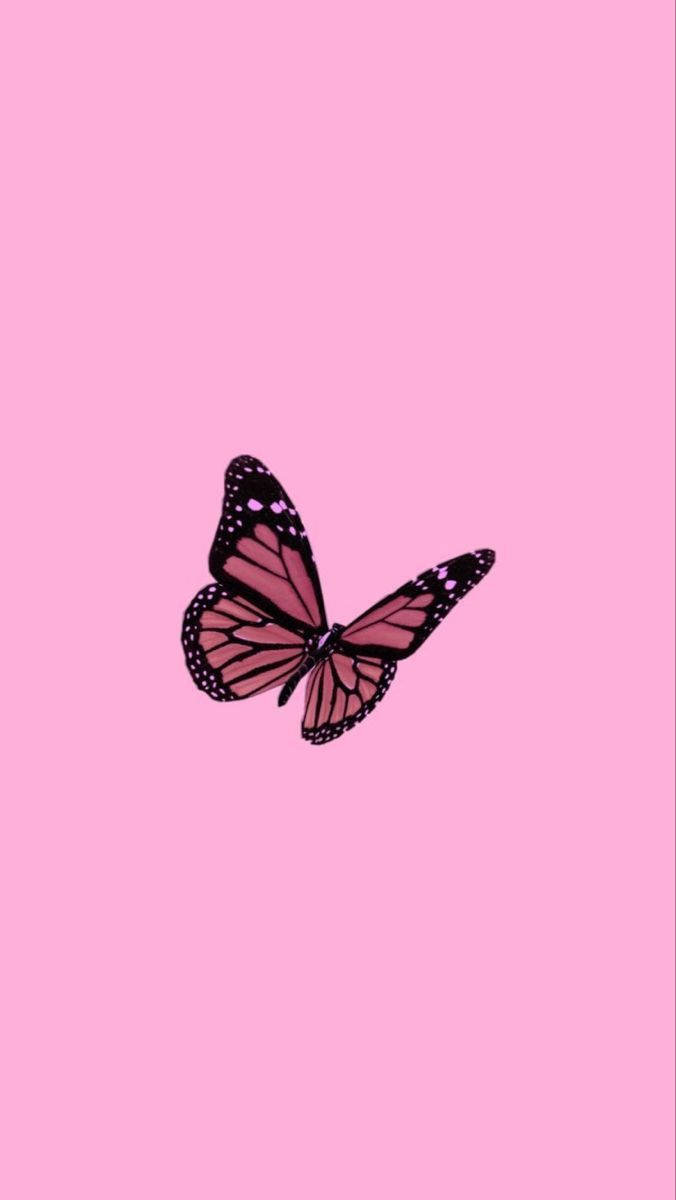 Y2k Aesthetic, pink monarch butterfly, pastel pink background, SD Phone Wallpaper