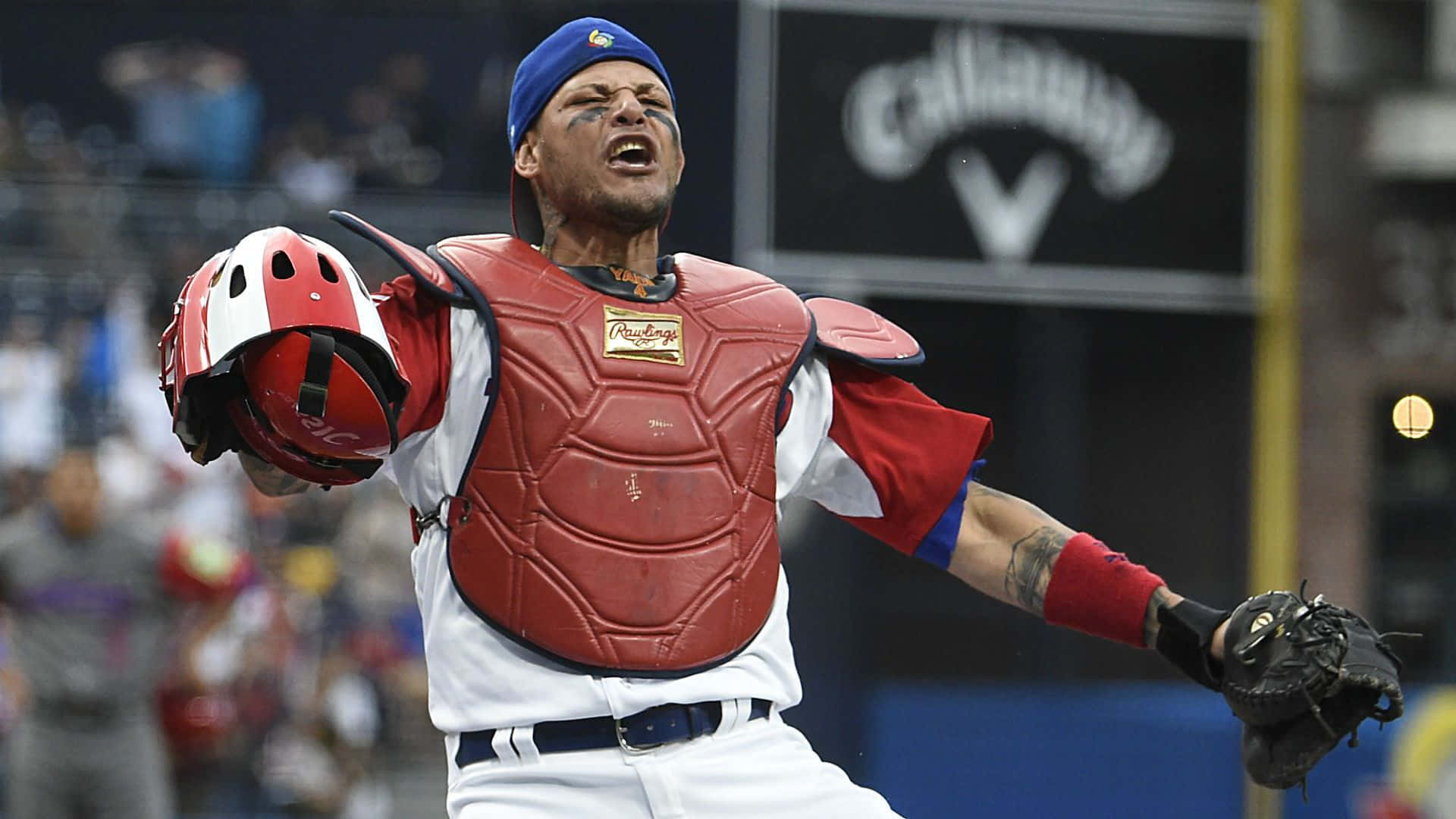 Yadier Molina, red gear, helmet, Full HD Desktop Wallpaper