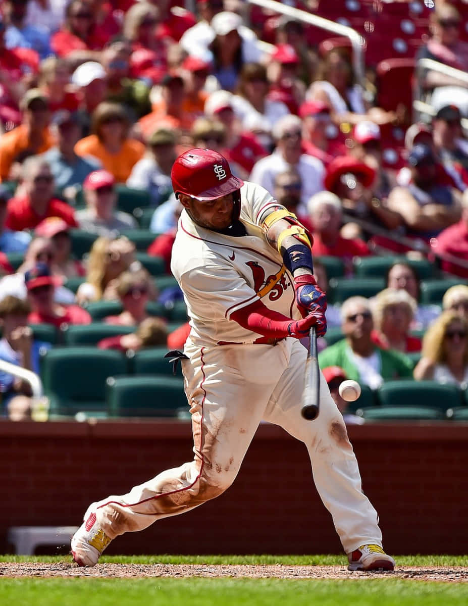 Yadier Molina, red helmet, white uniform, SD Phone Wallpaper