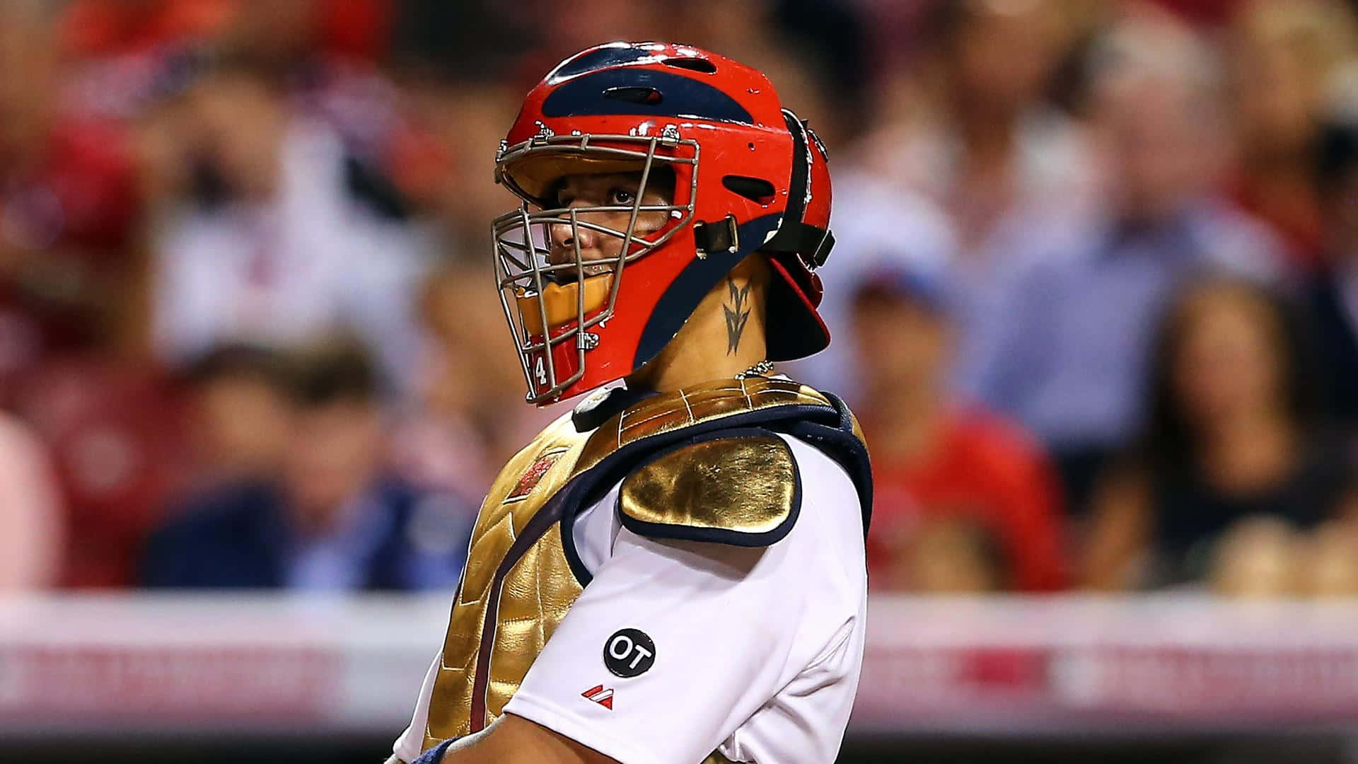 Yadier Molina, red helmet, gold chest protector, Full HD Desktop Wallpaper