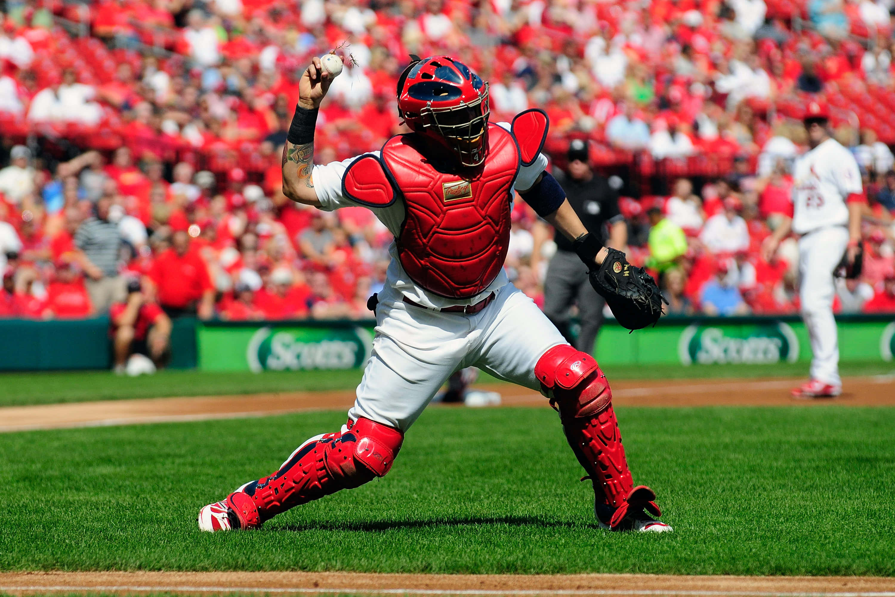 Yadier Molina, red gear, sunlit field, 2K Desktop Wallpaper