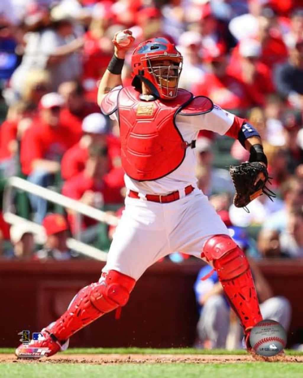 Yadier Molina, red gear, baseball catcher, HD Phone Wallpaper