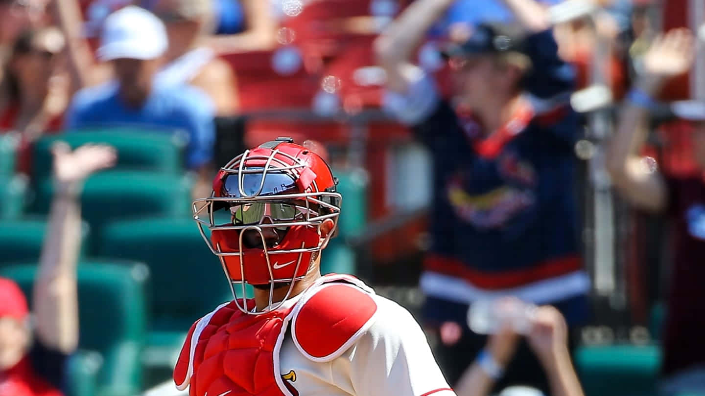 Yadier Molina, red gear, bright sun, HD Desktop Wallpaper