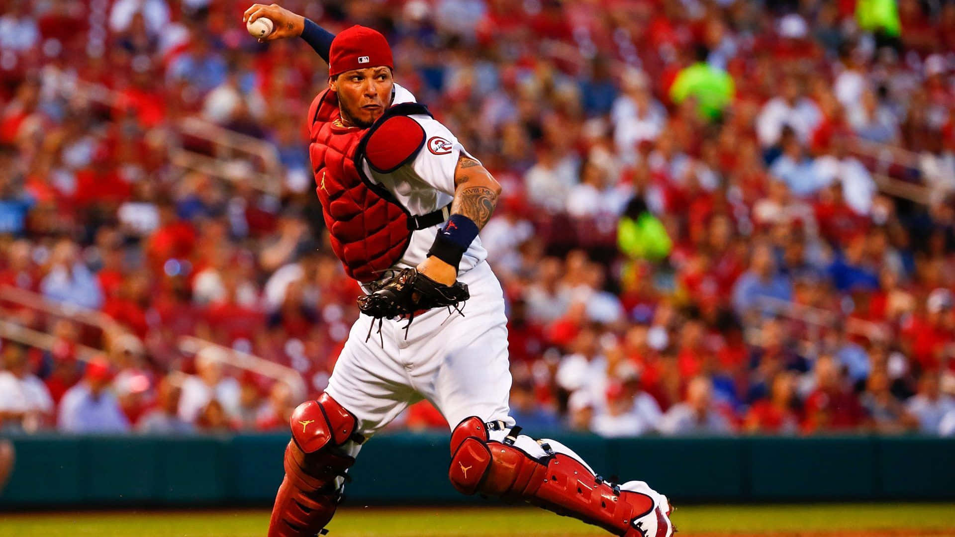 Yadier Molina, red gear, night game, Full HD Desktop Wallpaper