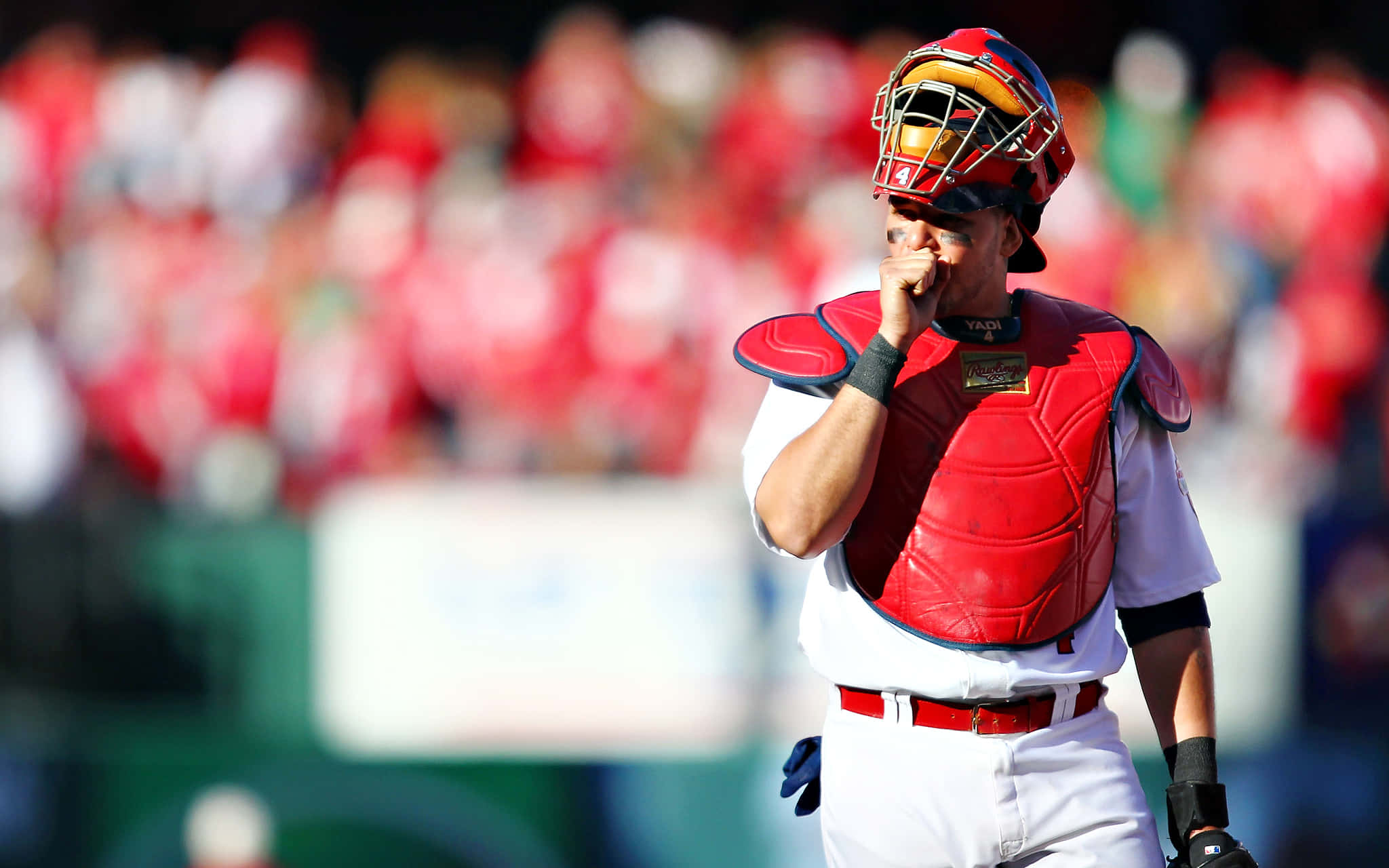Yadier Molina, red gear, sunlit field, Full HD Desktop Wallpaper
