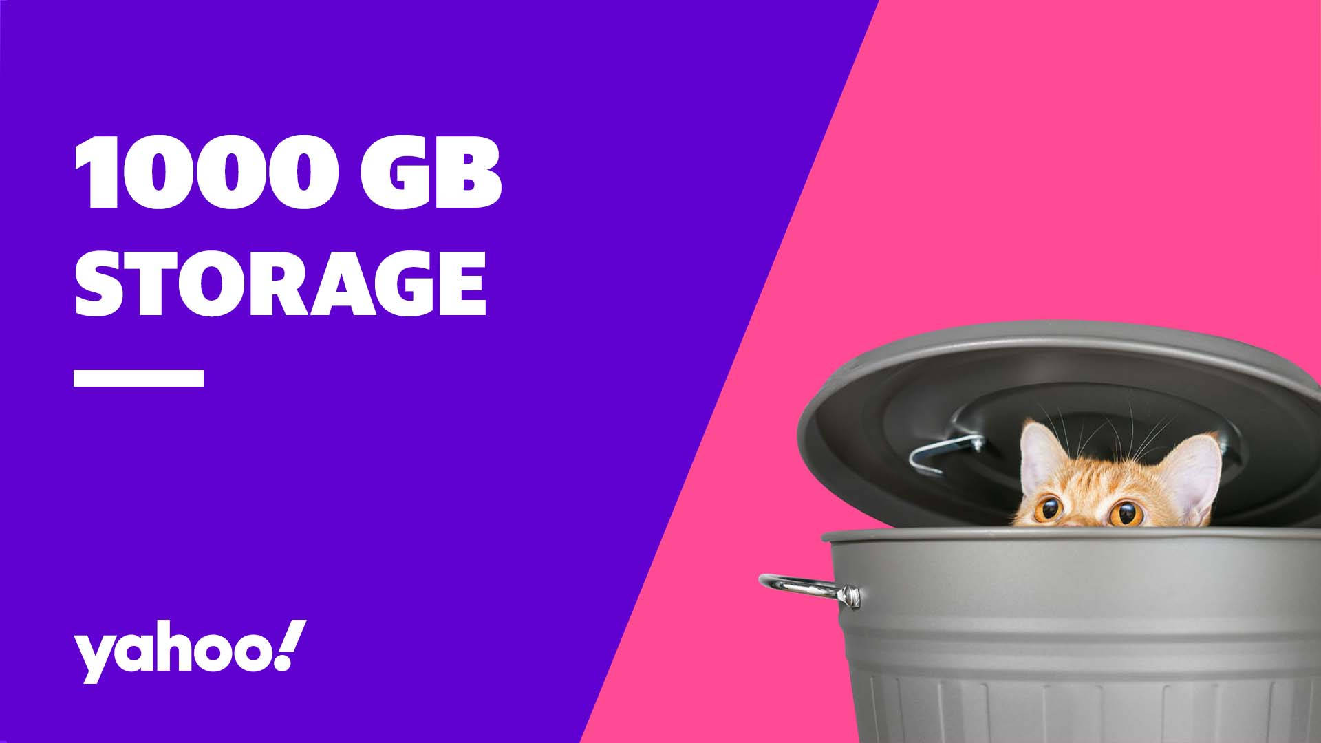 Yahoo Mail, 1000 GB storage, orange tabby cat, Full HD Desktop Wallpaper