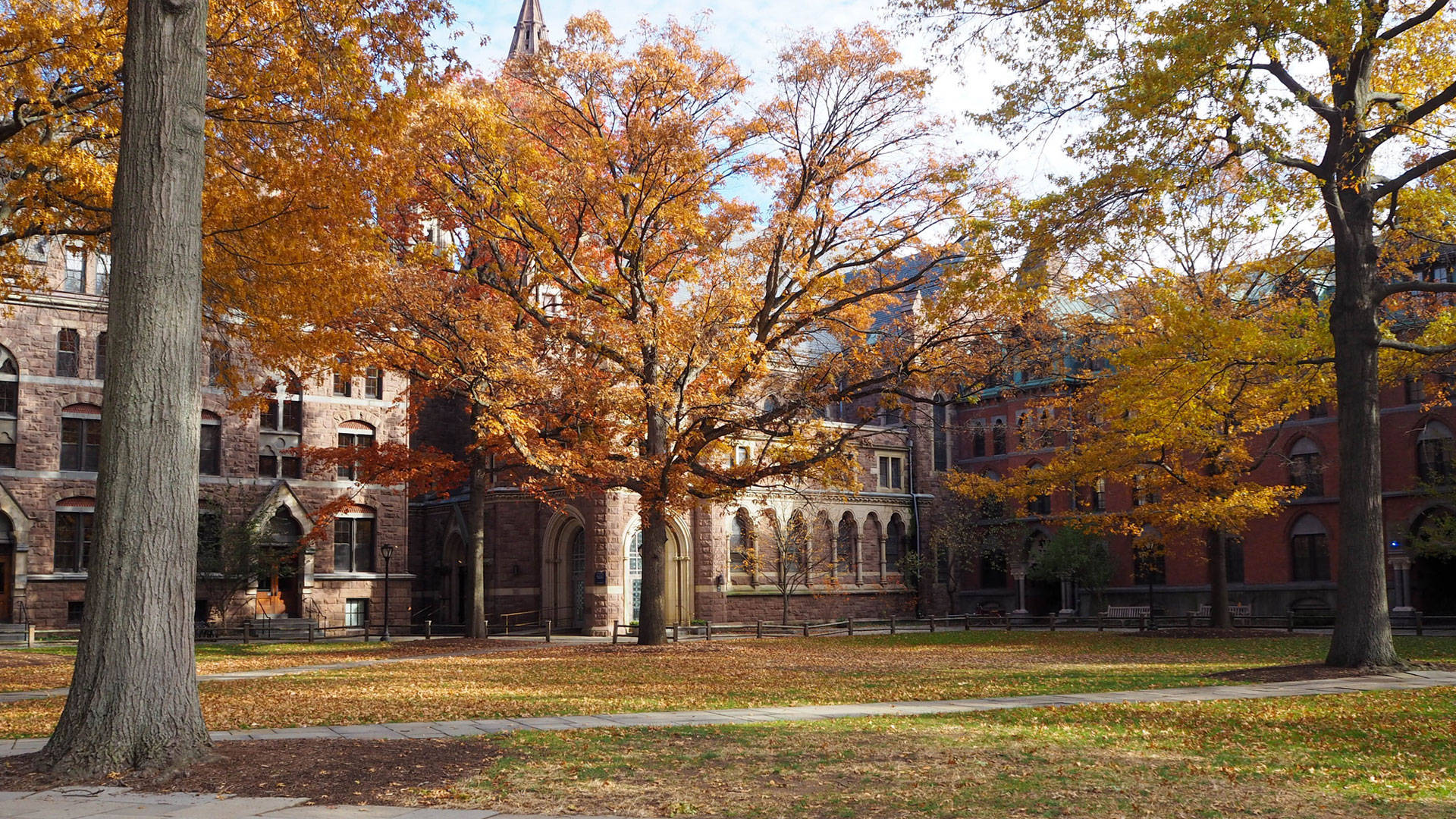 Yale University, autumn leaves, vibrant orange, Full HD Desktop Wallpaper