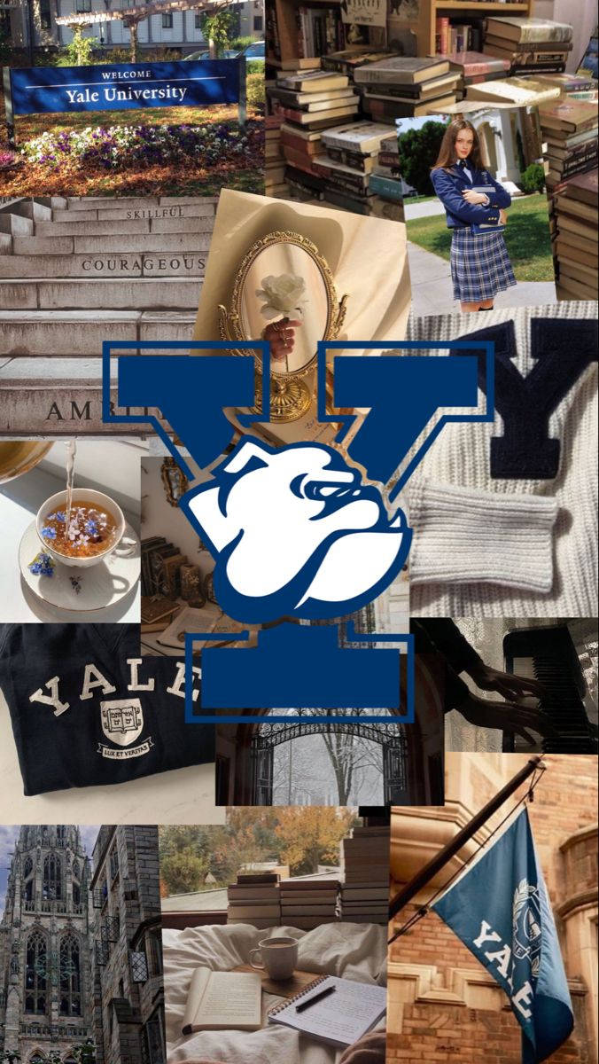 Yale University, bulldogs, blue and white branding, SD Phone Wallpaper