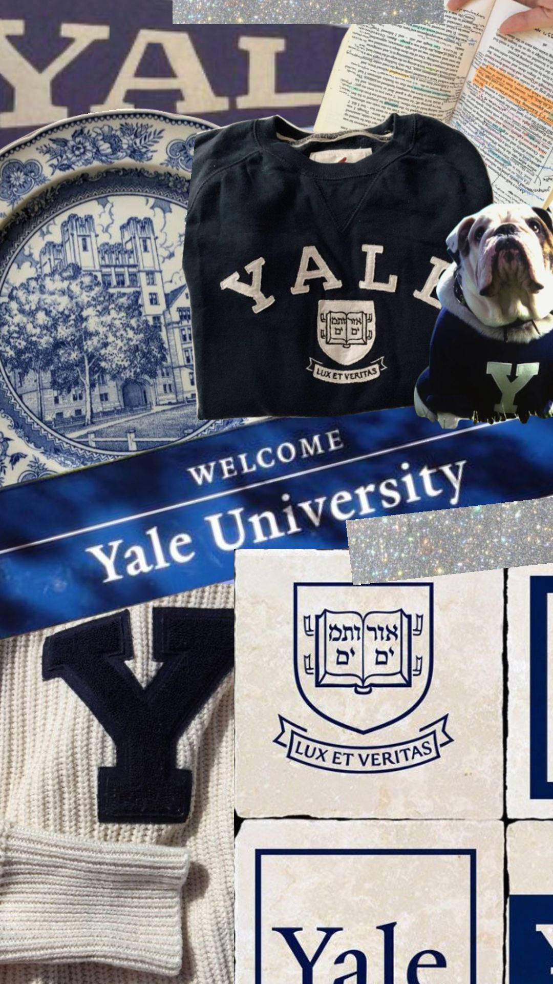 Yale University, bulldog, sweater, Full HD Phone Wallpaper