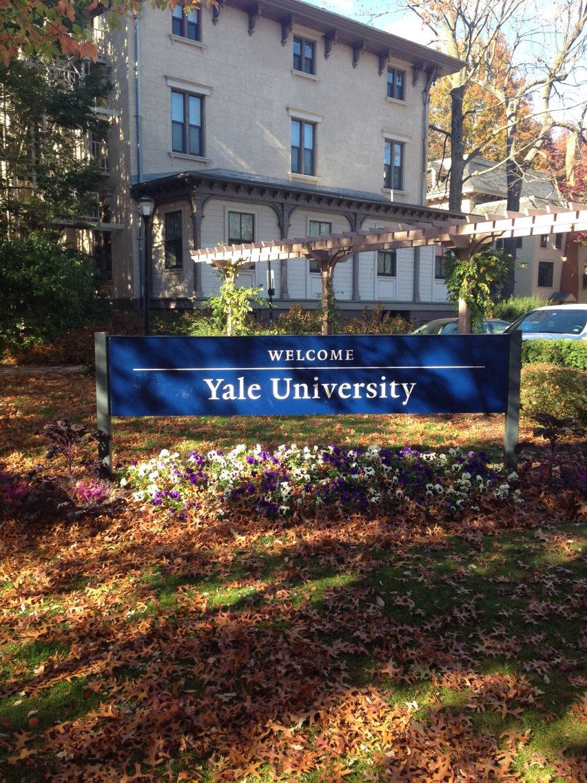 Yale University, welcome sign, autumn leaves, SD Phone Wallpaper