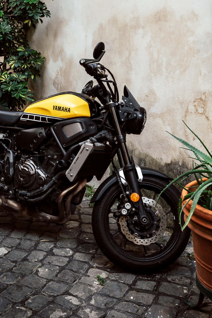 Yamaha, racing motorcycle, yellow, HD Phone Wallpaper