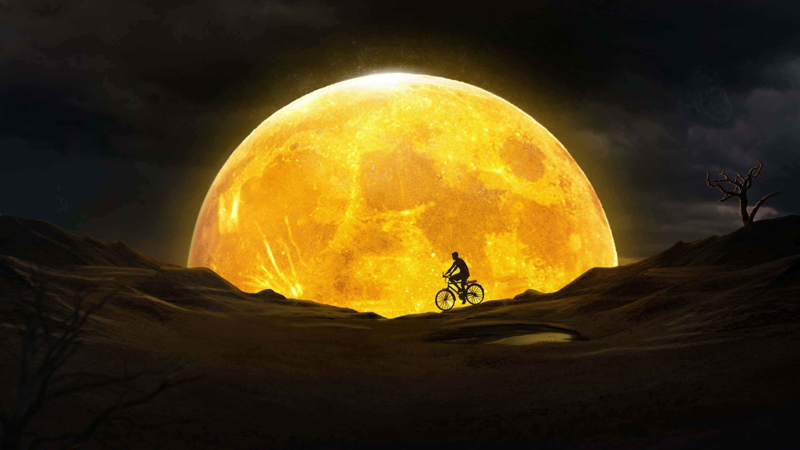 yellow 2560 x 1440, abstract design, lone cyclist, 2K Desktop Wallpaper
