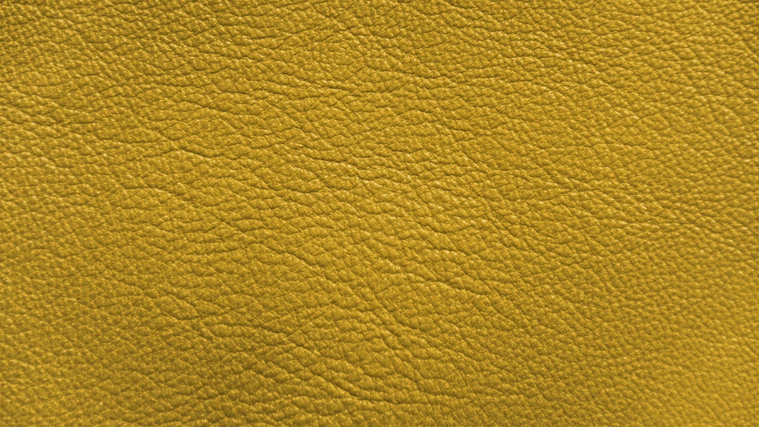 yellow, 2560 x 1440, golden-yellow, 2K Desktop Wallpaper