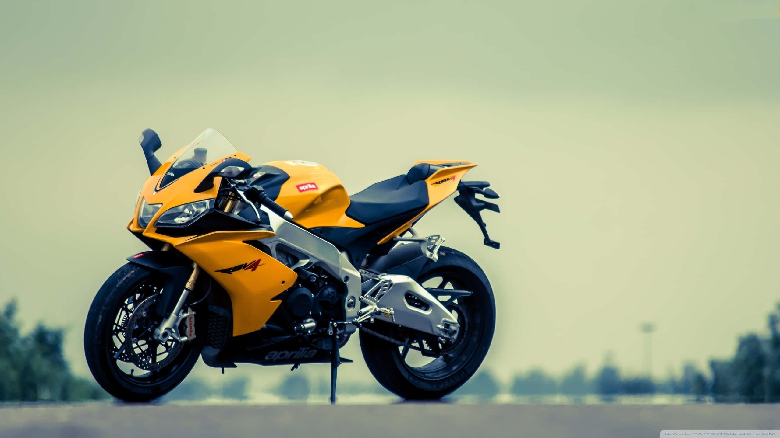 yellow, 2560 x 1440, sport motorcycle, 2K Desktop Wallpaper